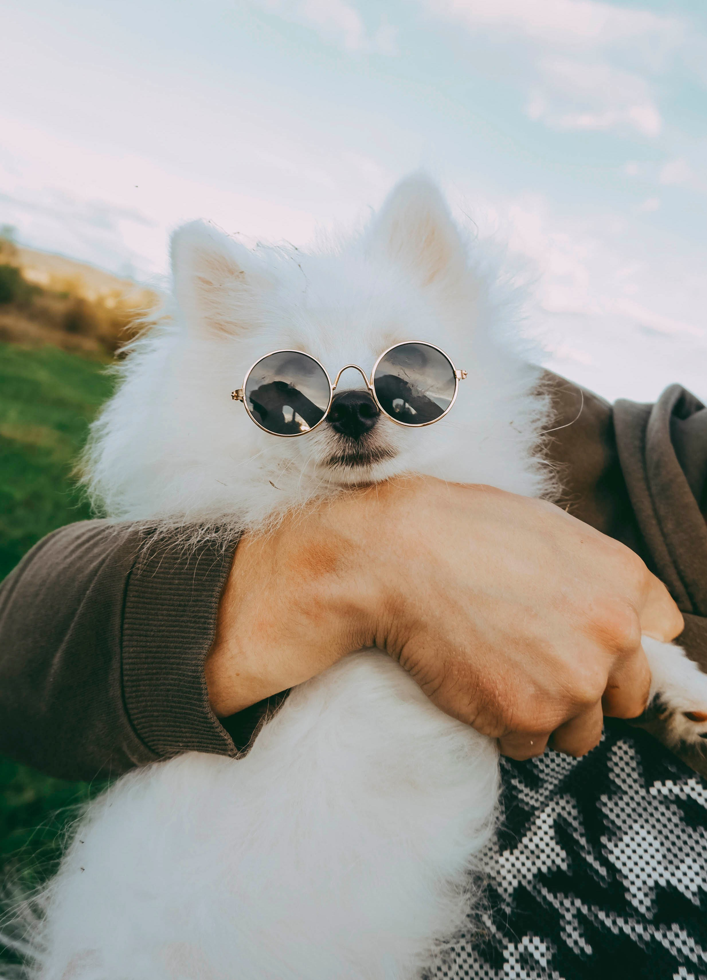 Стоимость. Фотограф Благовещенск I Анастасия Кейн