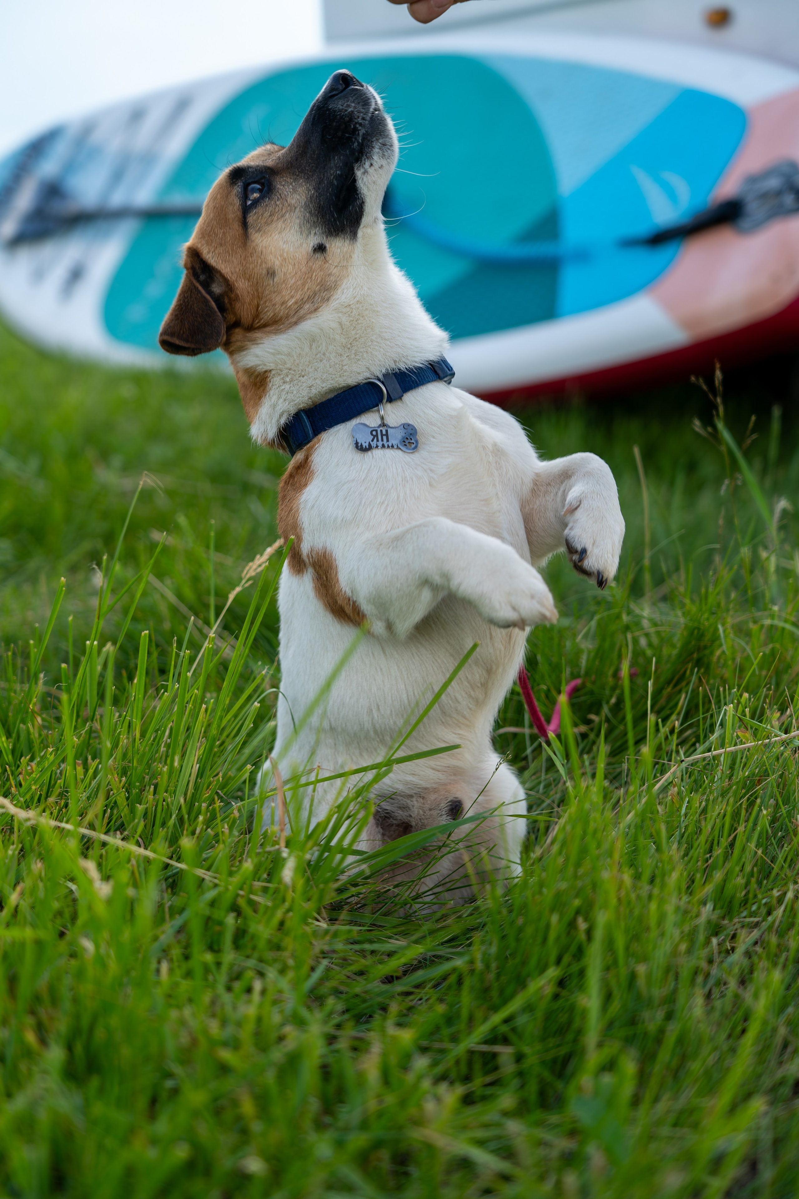 Фотосъёмка массовых, спортивных, эвент-мероприятий. «Студия DRONAVT`s» — видеосъёмка и фотография г. Москва