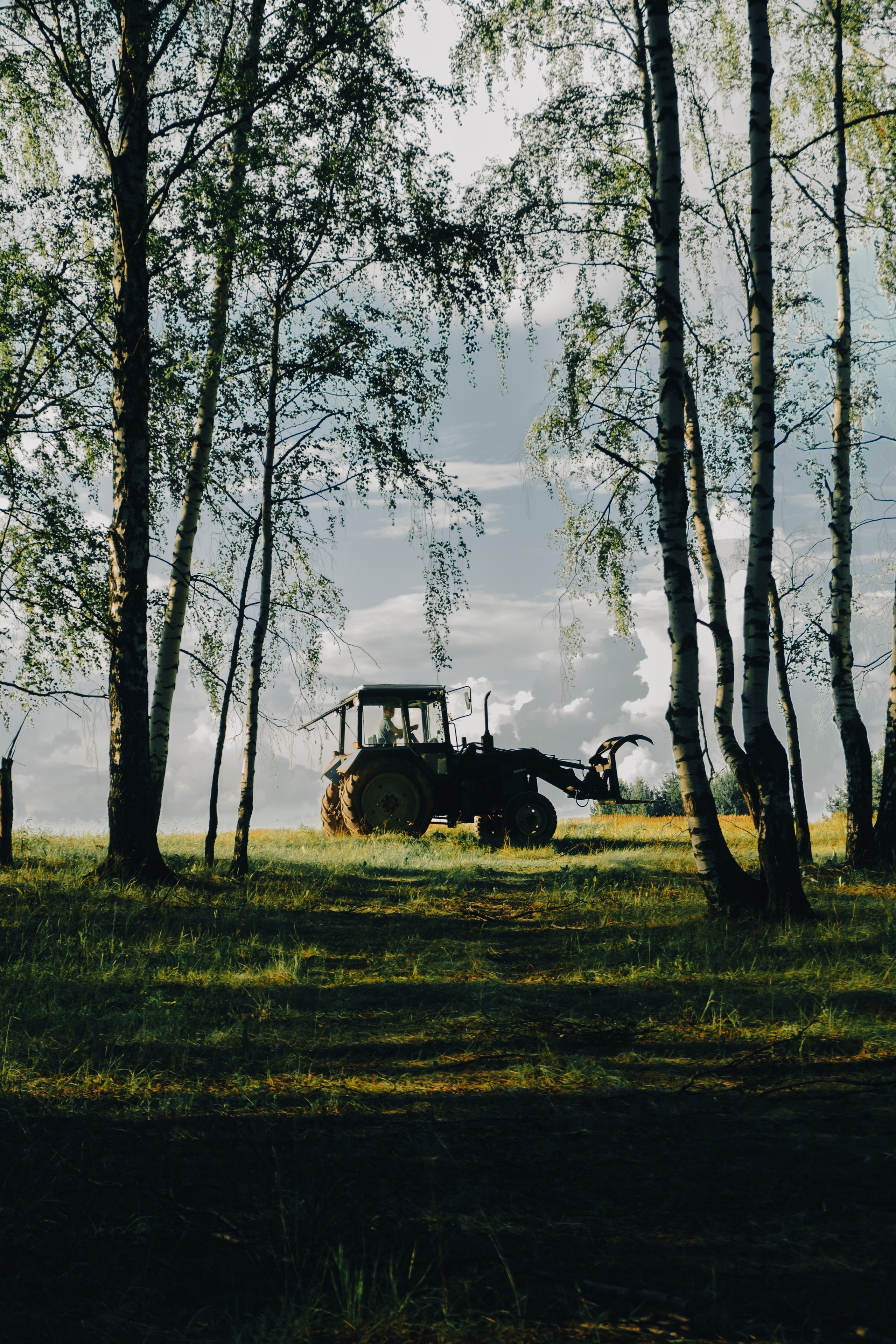 Presets. Фотограф Валерия Кононова