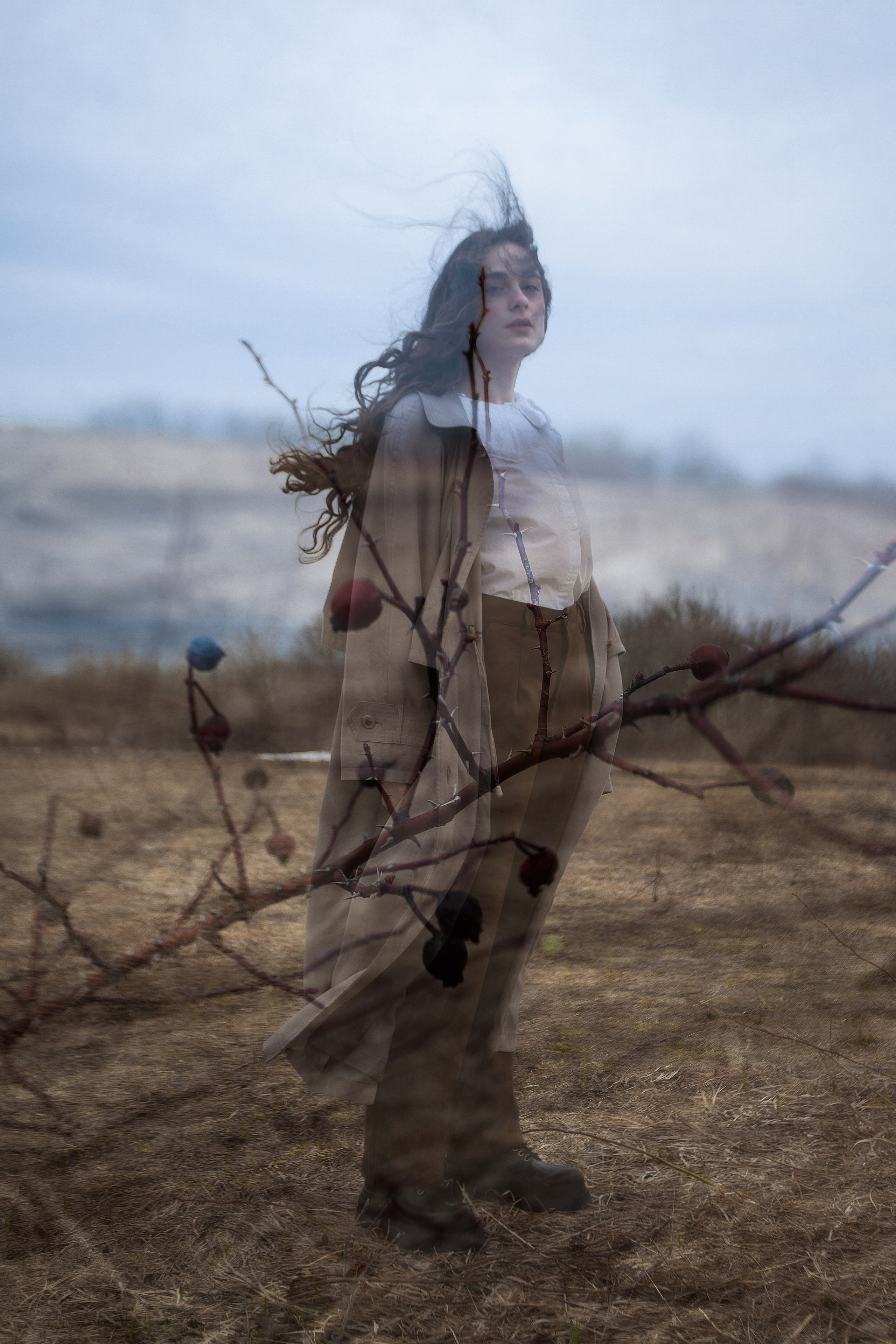 Сертификаты. Свадебный фотограф. Краснодар, Сочи, Новороссийск. Вадим Мерье