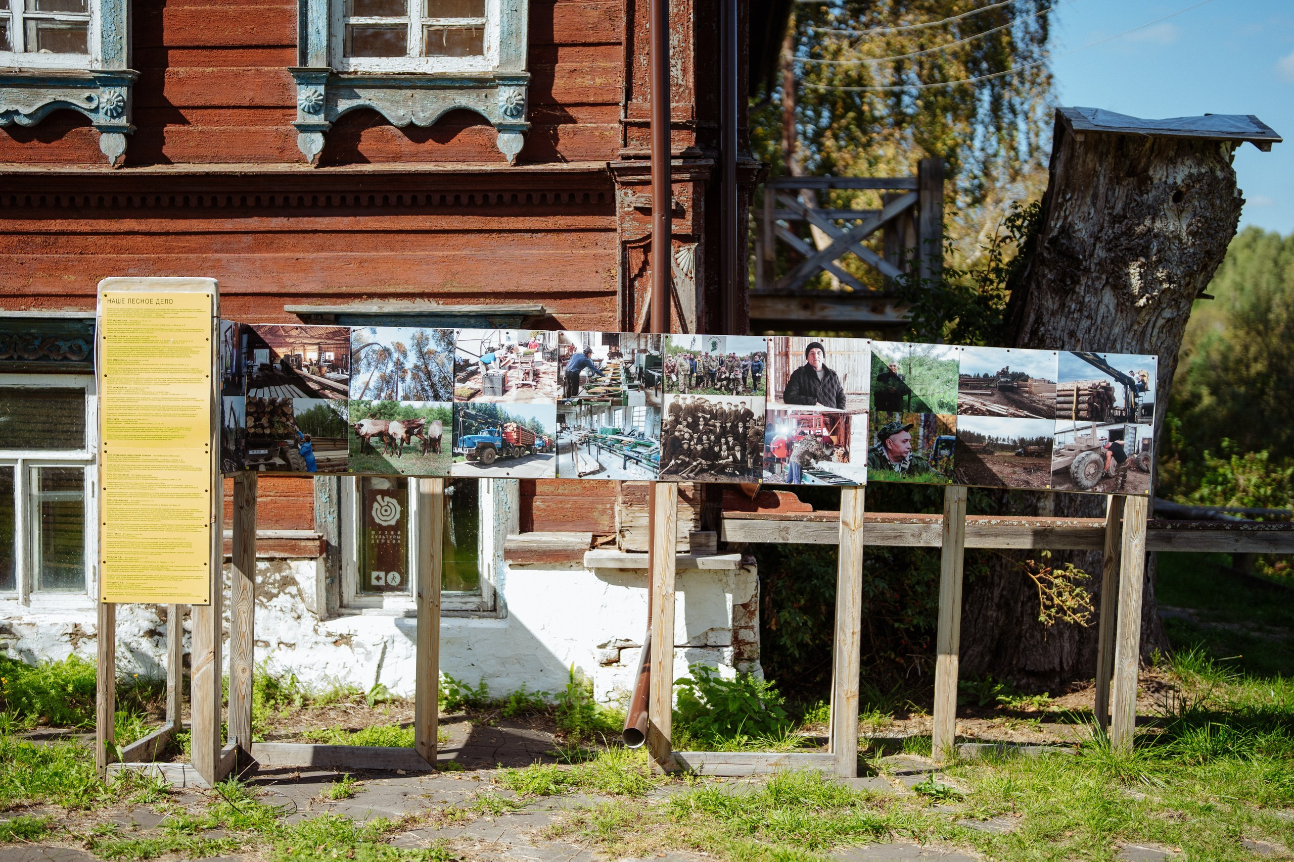 Сюжет № 9|Музей культуры дерева имени Е. И. Яранцева