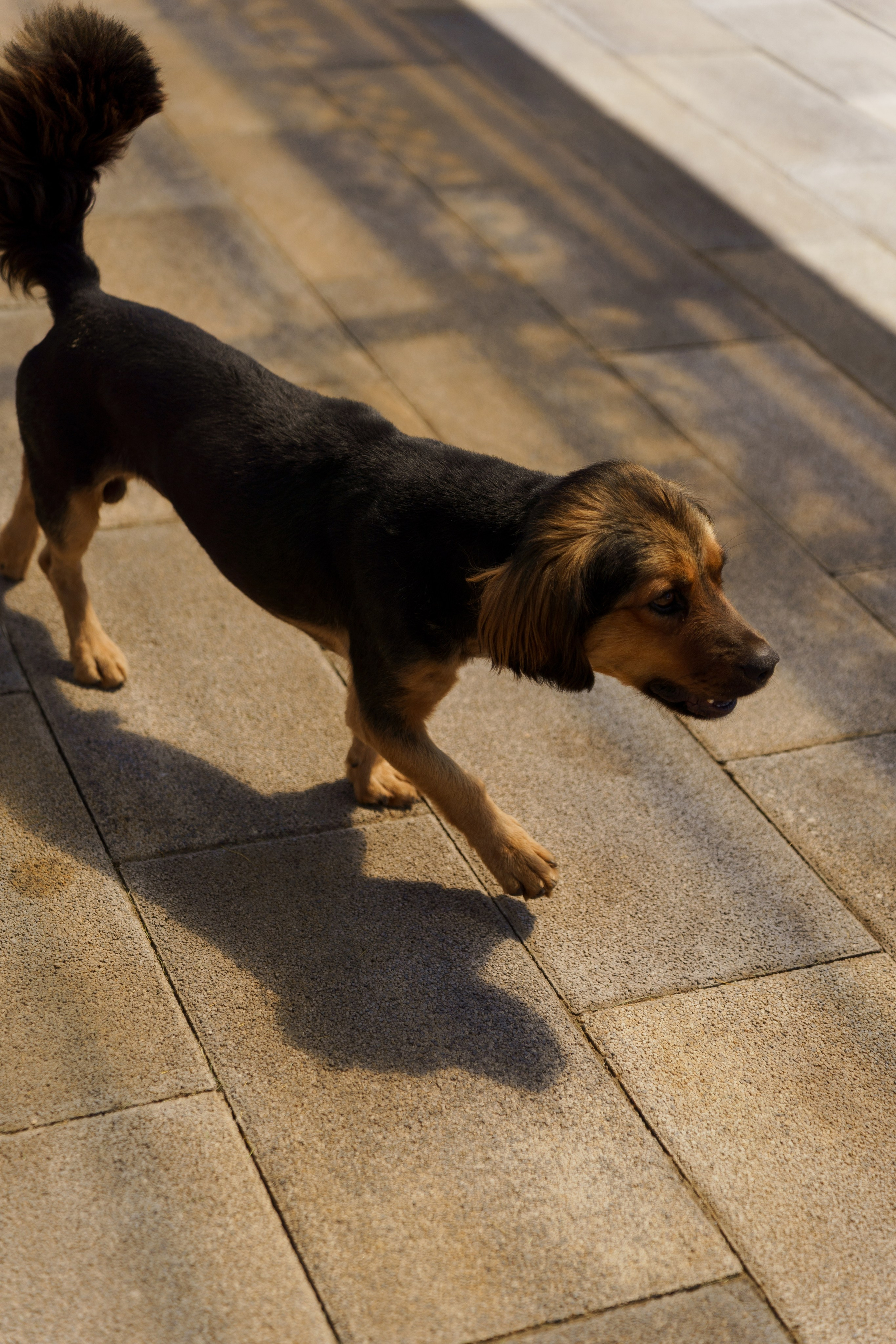 Сватовство в Краснодаре от лучших свадебных фотографов и операторов ТВИНС СТУДИО. ТВИНС СТУДИО — лучшие свадебные фотографы и видеографы в Краснодаре