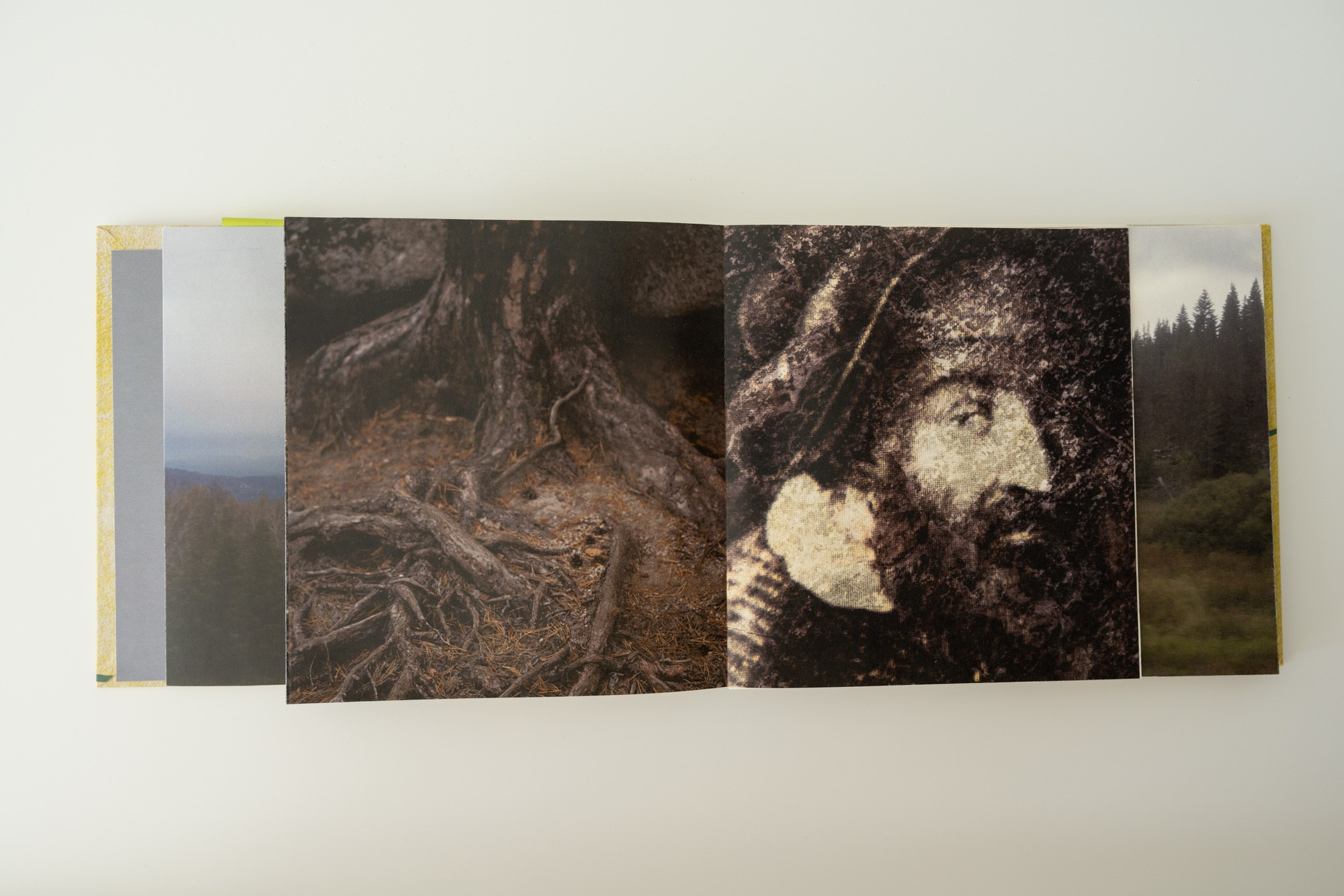 Неопределенное чувство — Александр Барановский