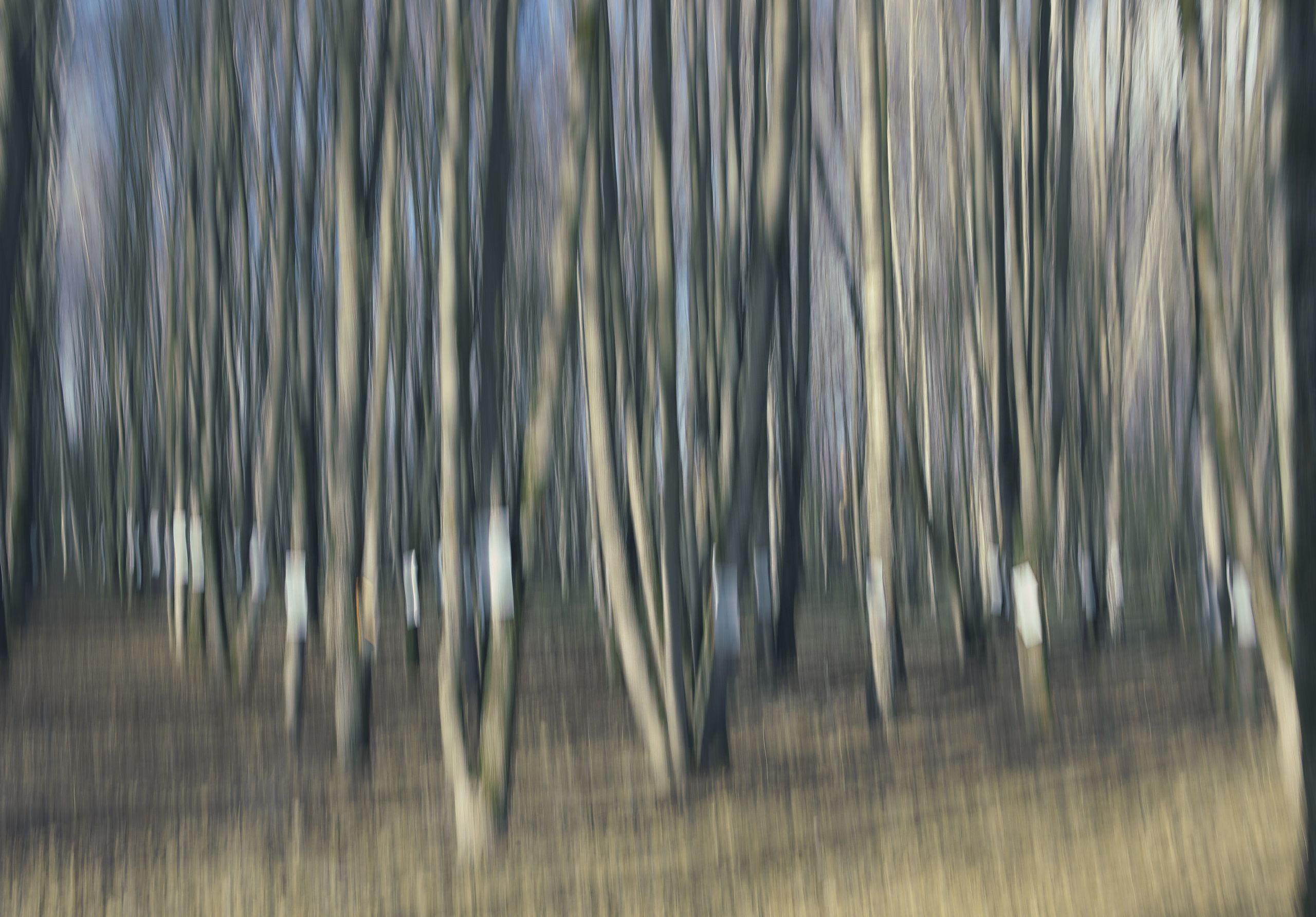 Проект «Здесь и сейчас». Фотограф Наталья Туева FineArt съёмка