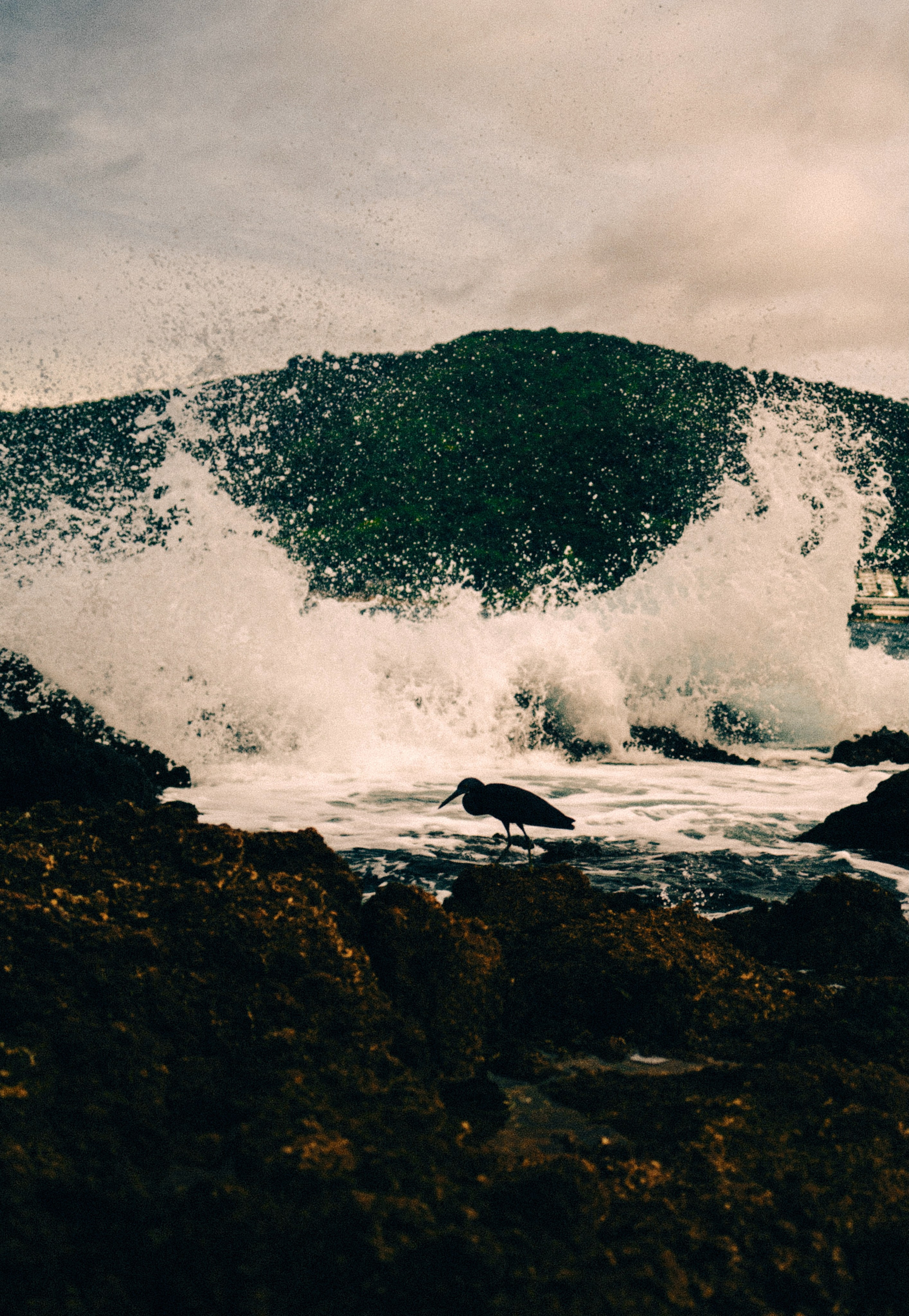 AUTHENTIC FILM. Visual artist Daniil Kontorovich