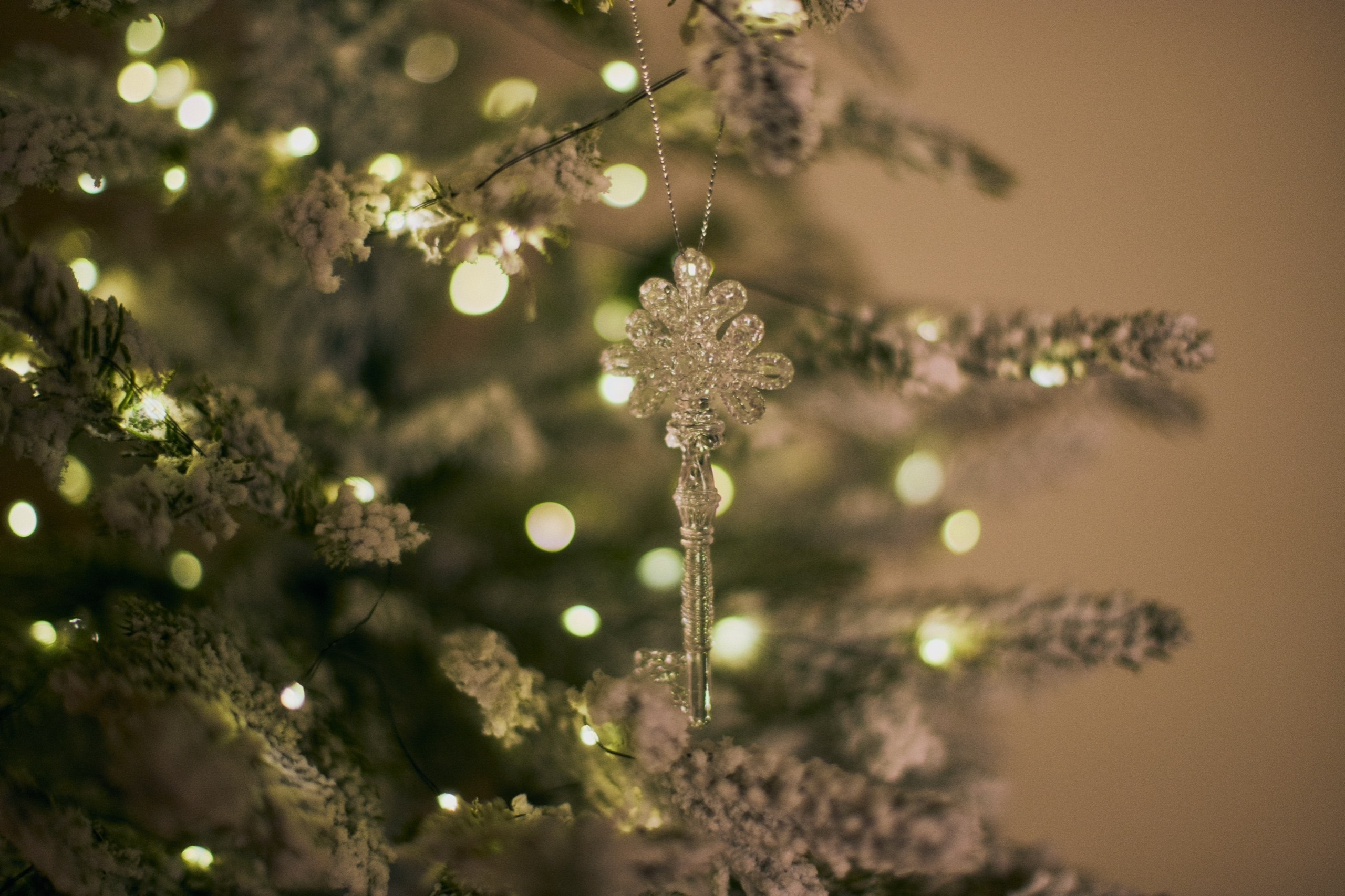 Фотостудии г.Липецк. Фотограф Екатерина Лёвушкина