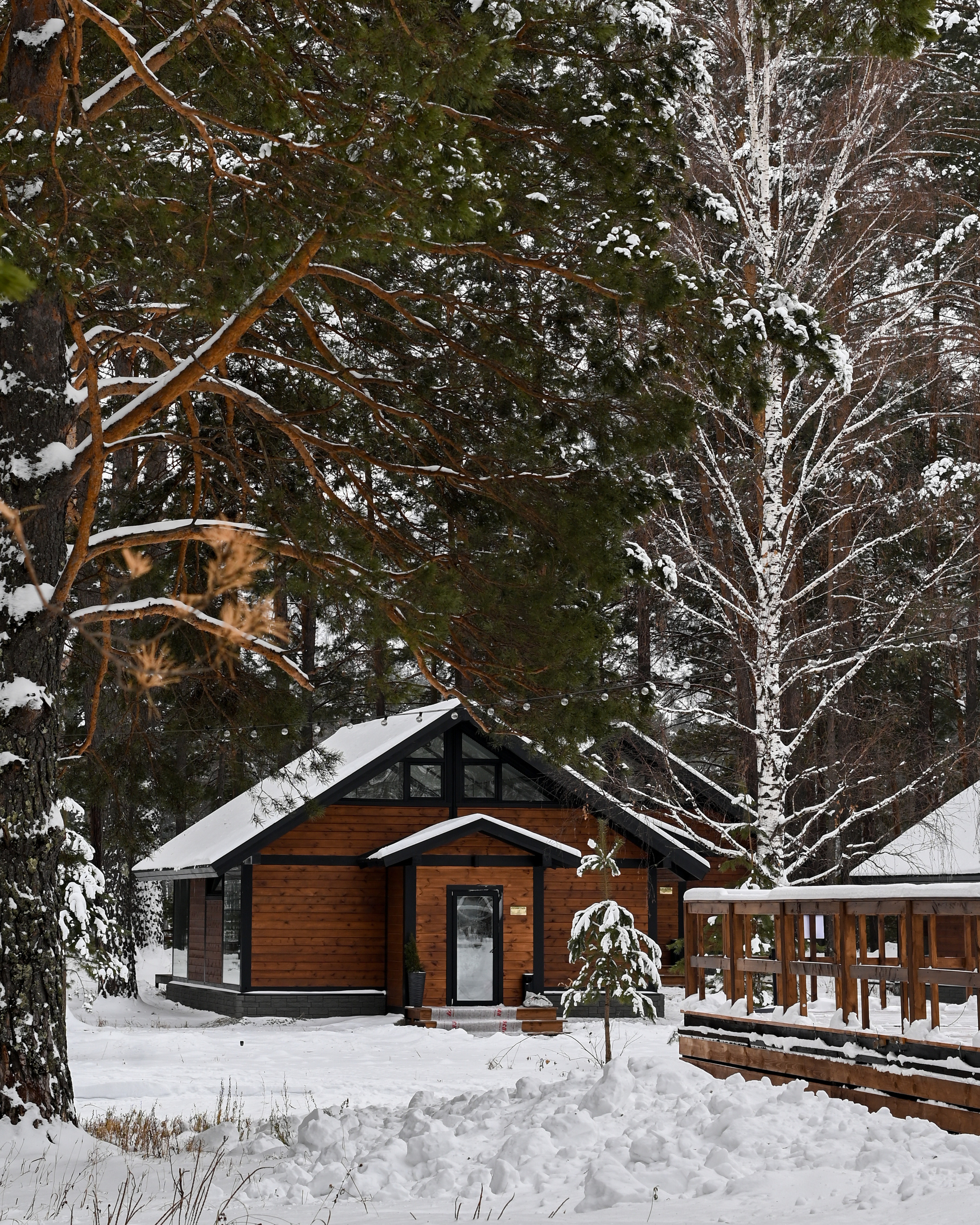 Hotels & Glampings. Dmitry Ganin