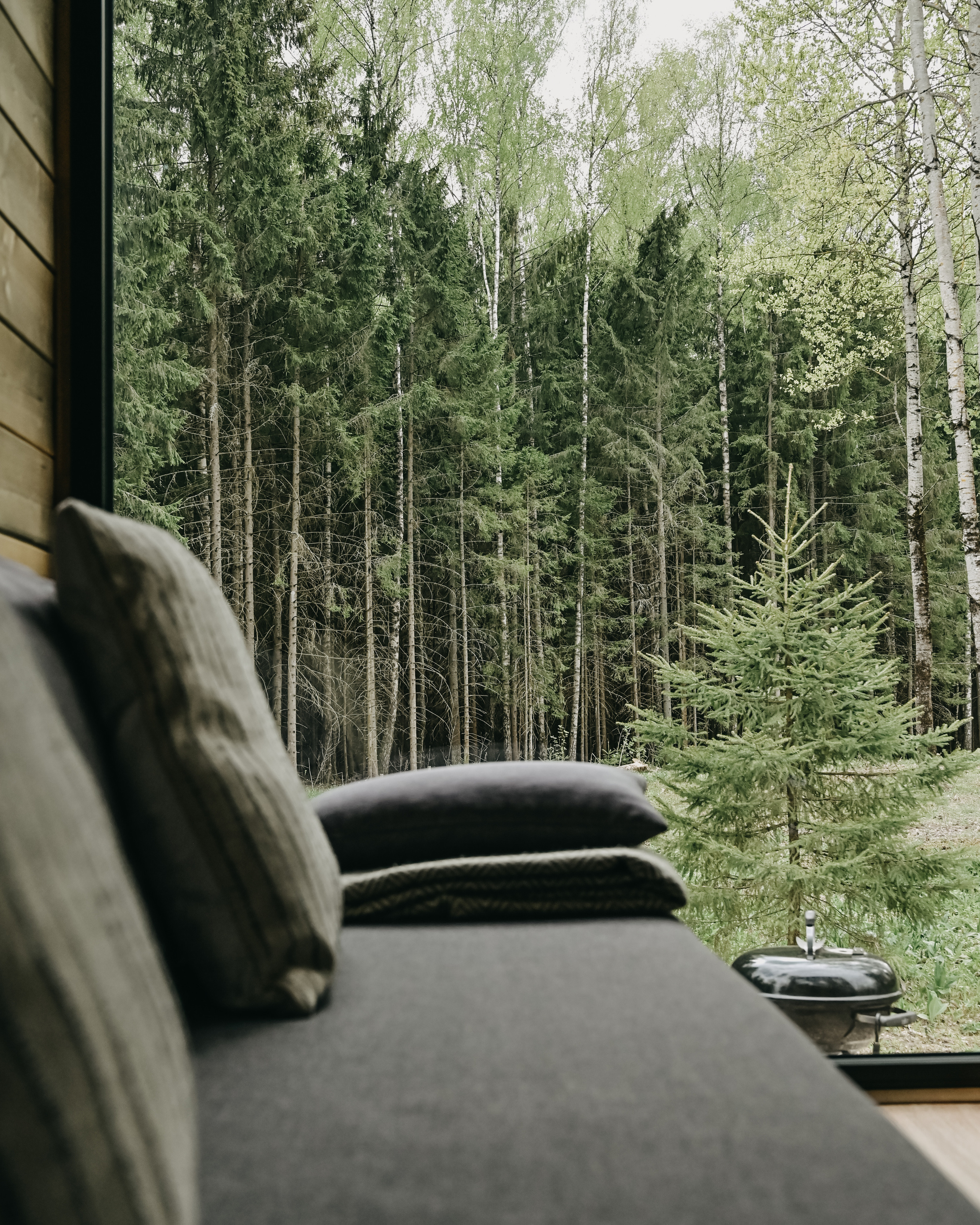 Hotels & Glampings. Dmitry Ganin
