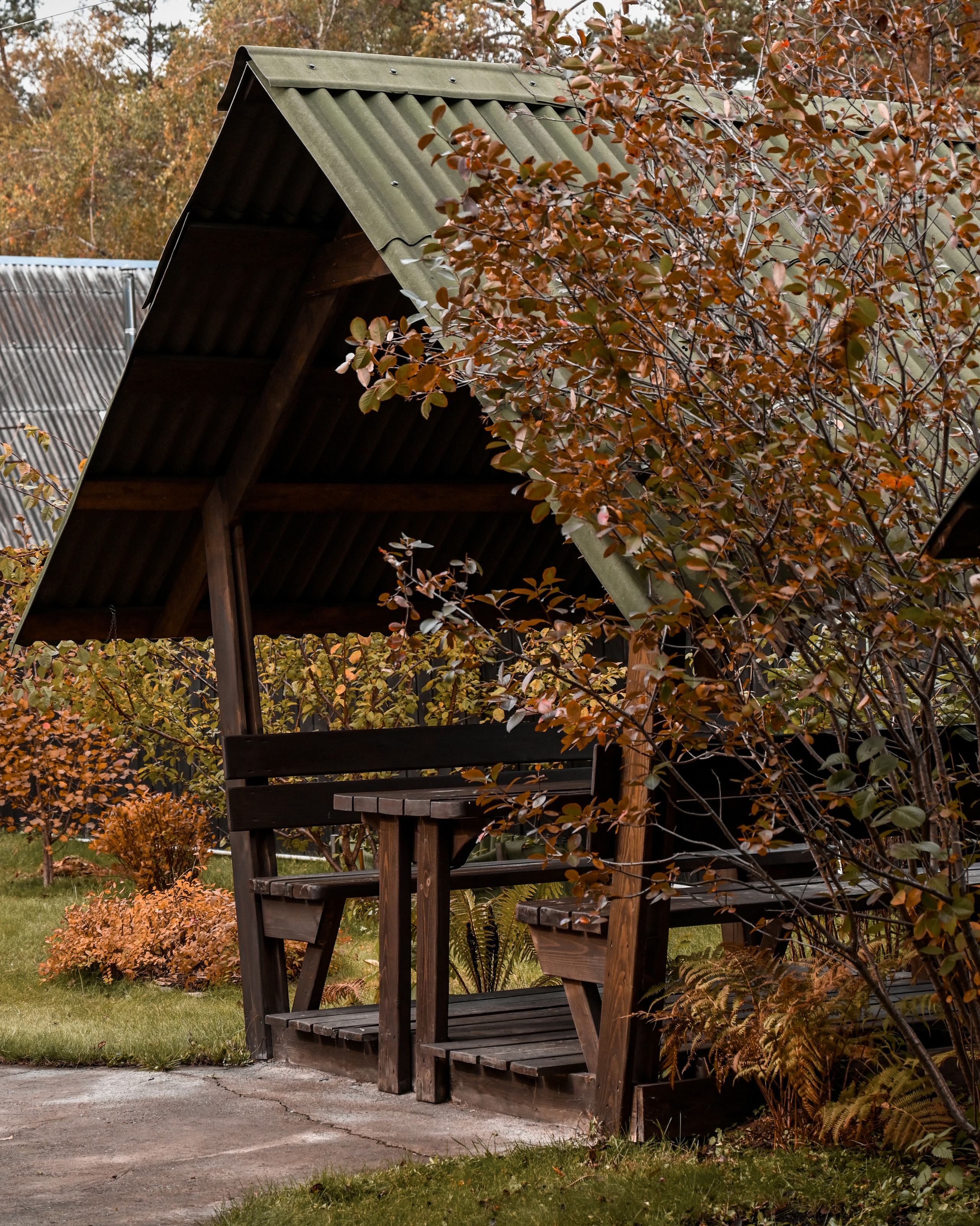 Hotels & Glampings. Dmitry Ganin