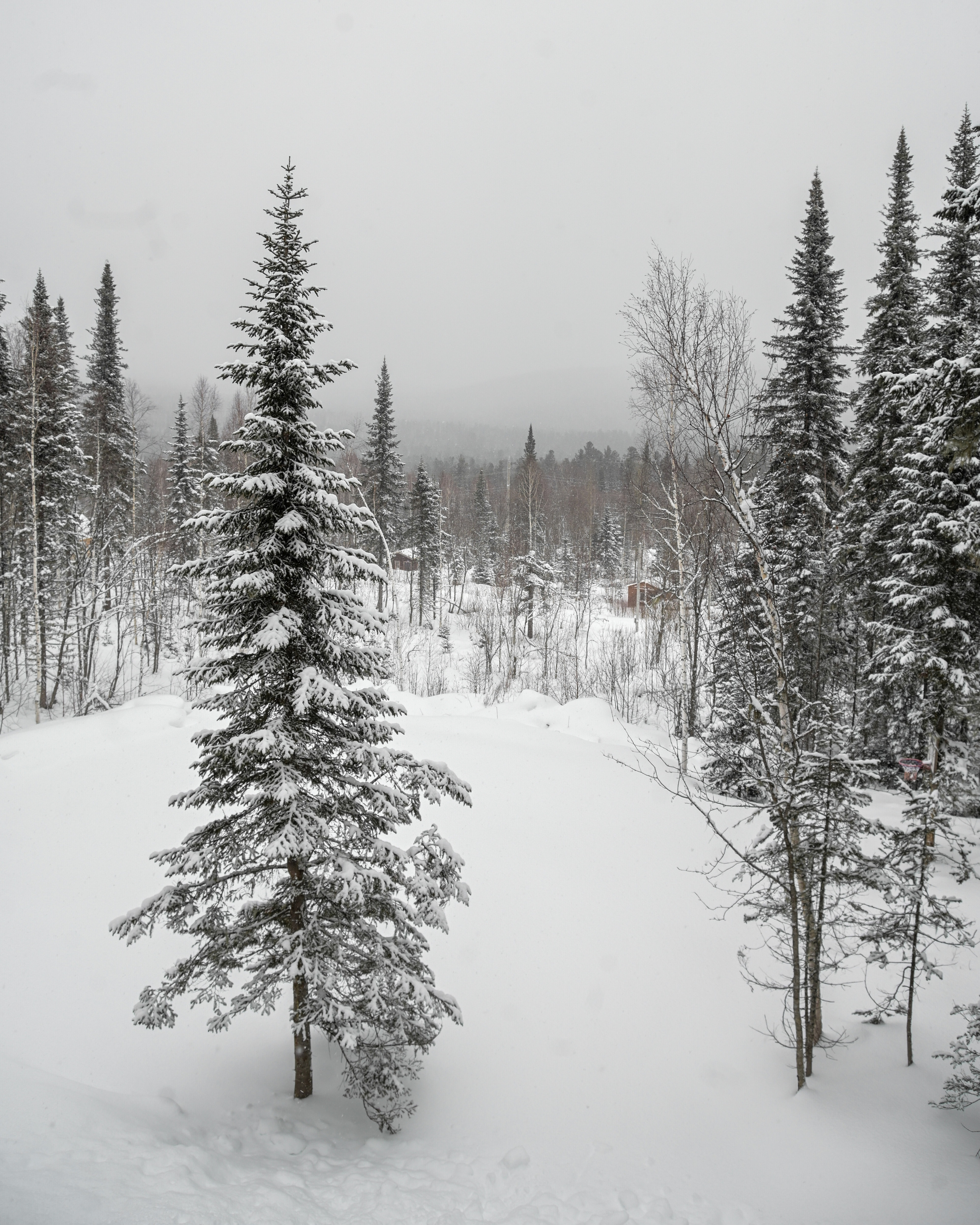 Hotels & Glampings. Dmitry Ganin