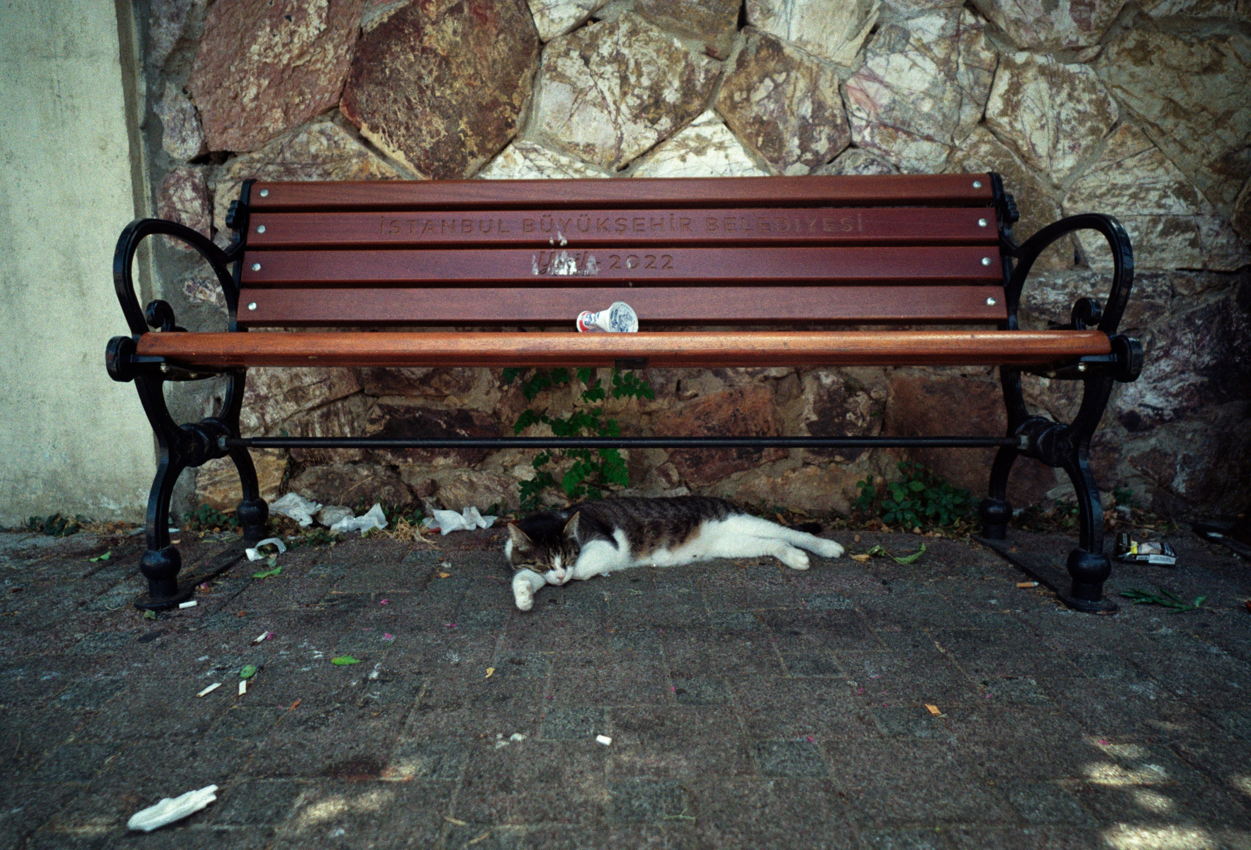 Istanbul / Türkiye. Фотограф Юрин Евгений