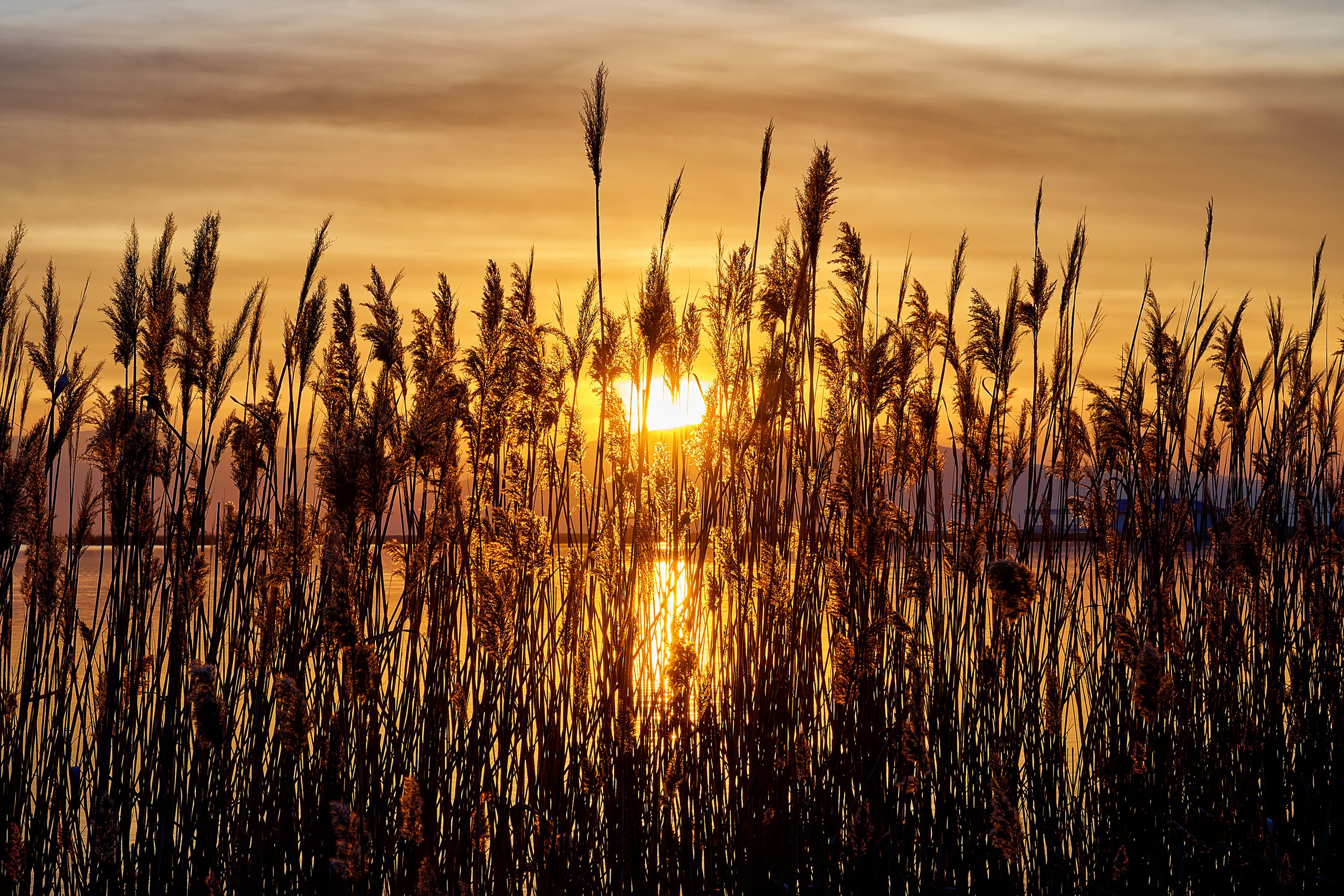 Пейзажи. Яркие фото на Чёрном море