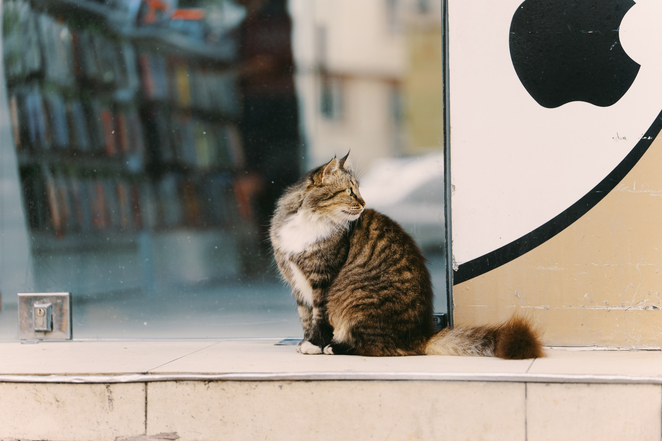 Ликийская тропа фототур турция.