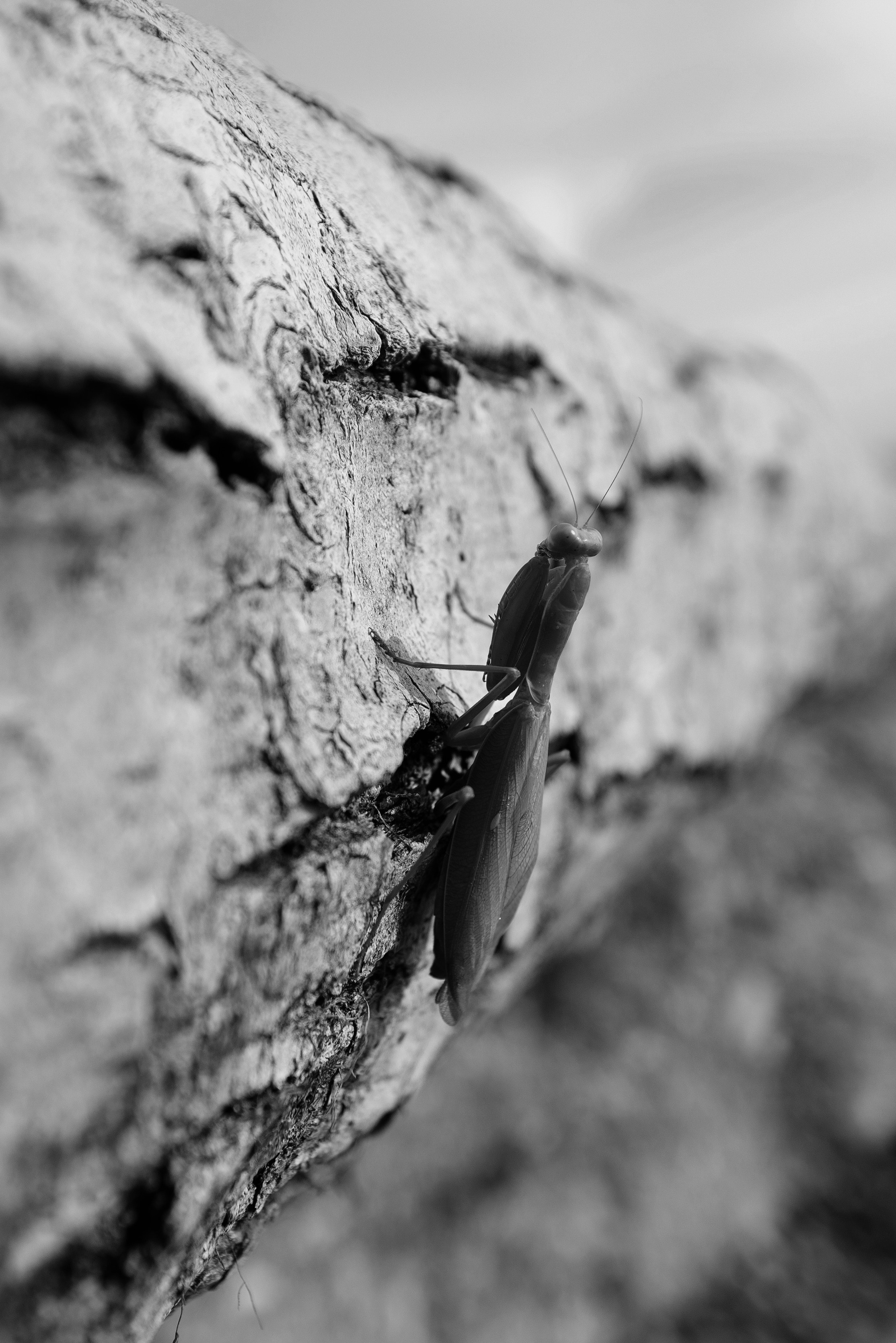 Фотограф в Сочи — Алексей Самсонов. Репортажный фотограф Сочи