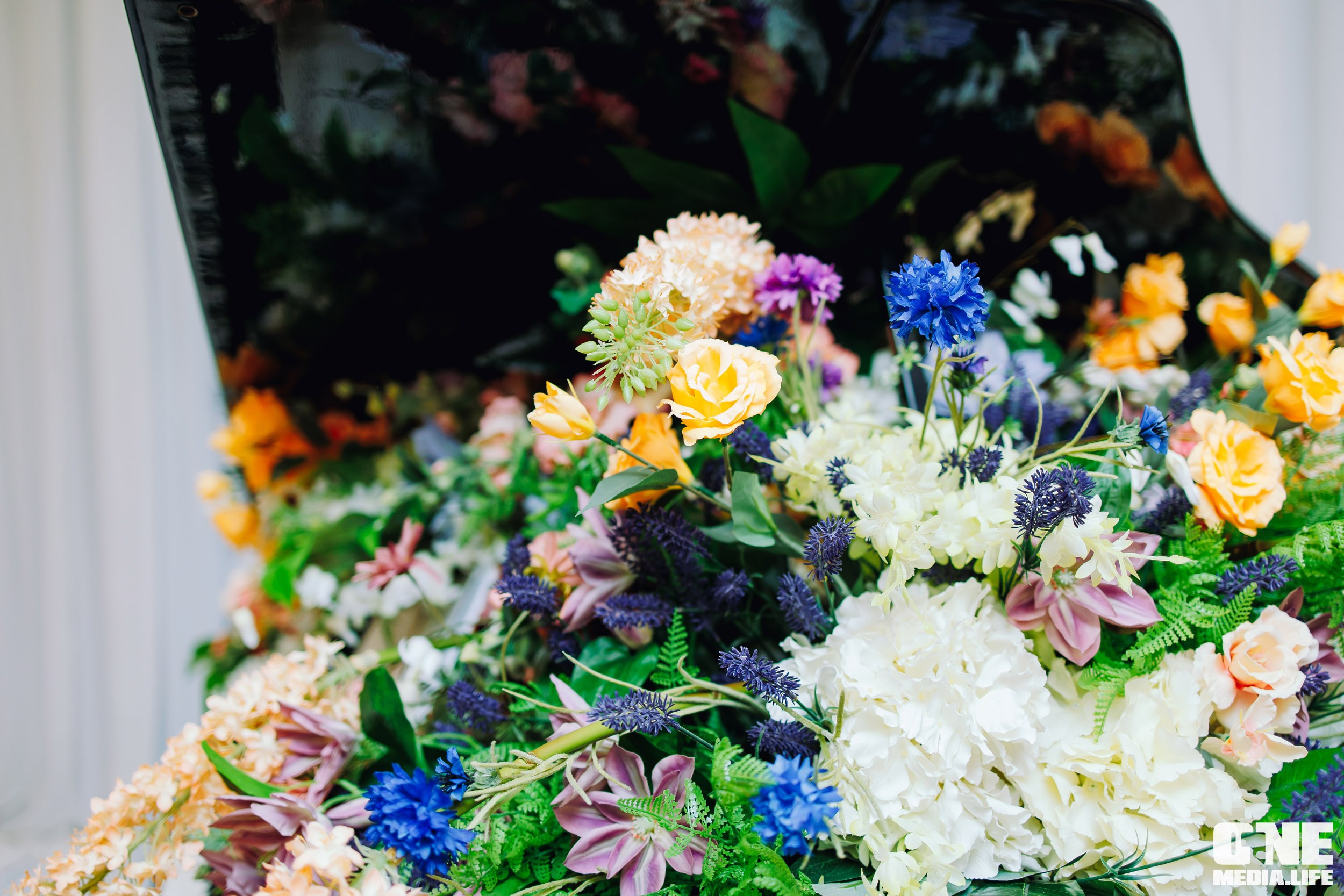 Балет Eifman Gala в Янтарь Холле. One Media Life: фоторепортажи, фотоотчеты с мероприятий и заведений