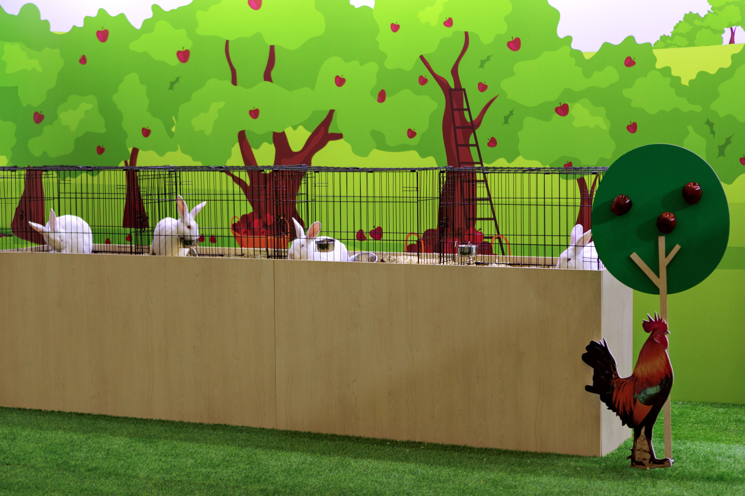 Город профессий АПК «Я В АГРО». Выпускные альбомы и школьный фотограф в Подольске, Троицке, Щербинке, Москве и Московской области