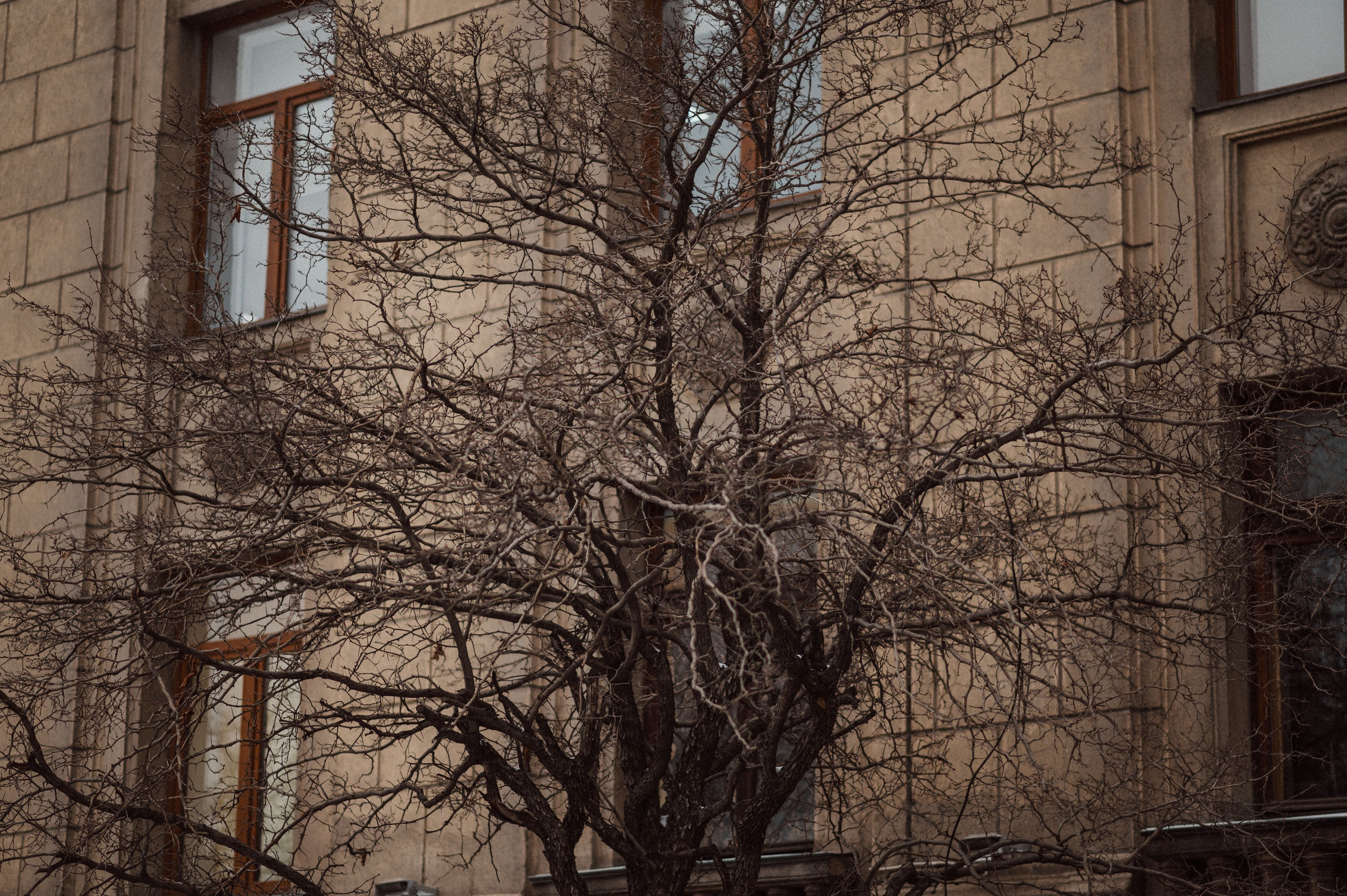 Стрит Алматы: зима 2024. Фотограф в Алматы — Дарья Фёдорова