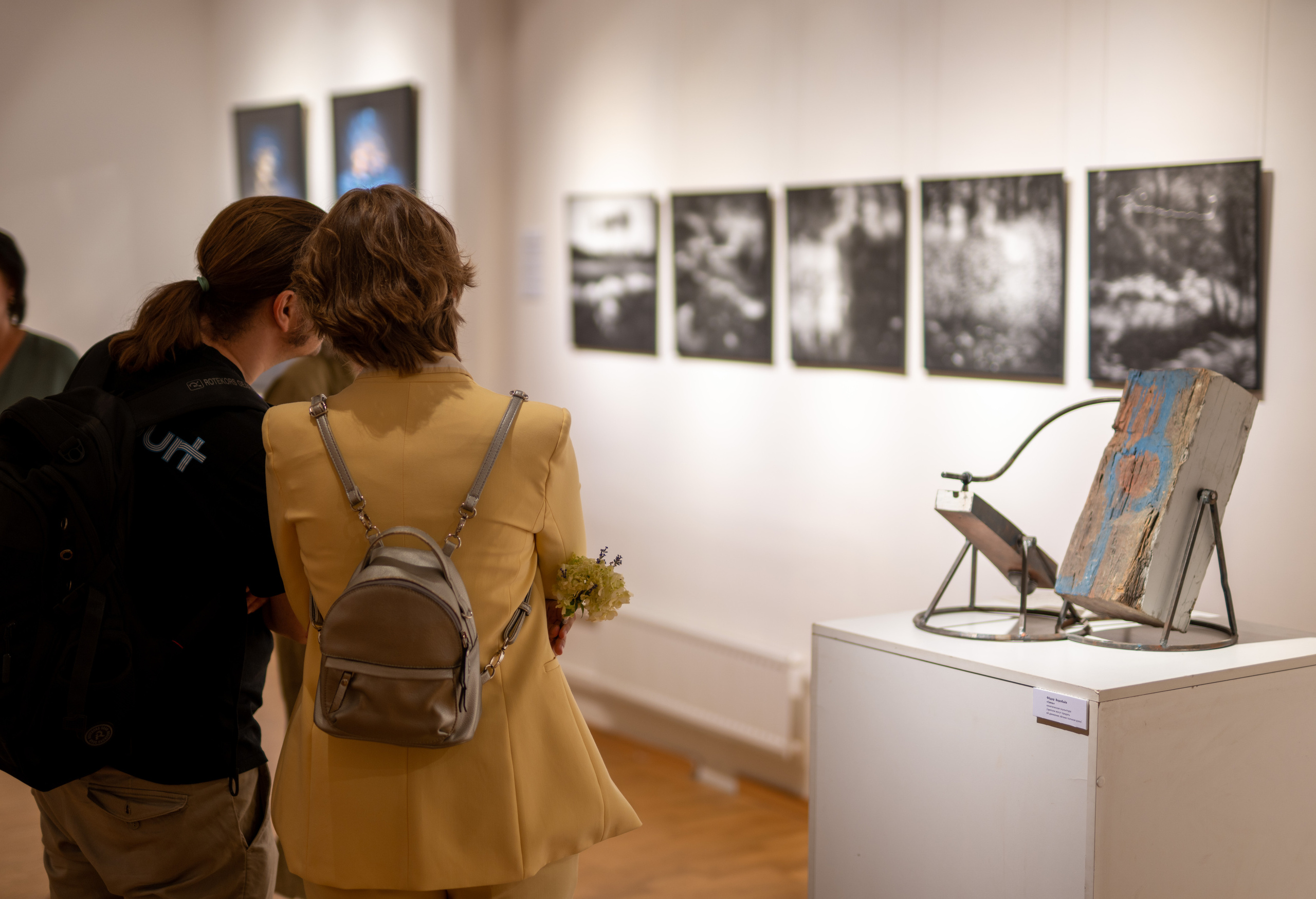 Художественная выставка. Фотограф Михаил Стенин