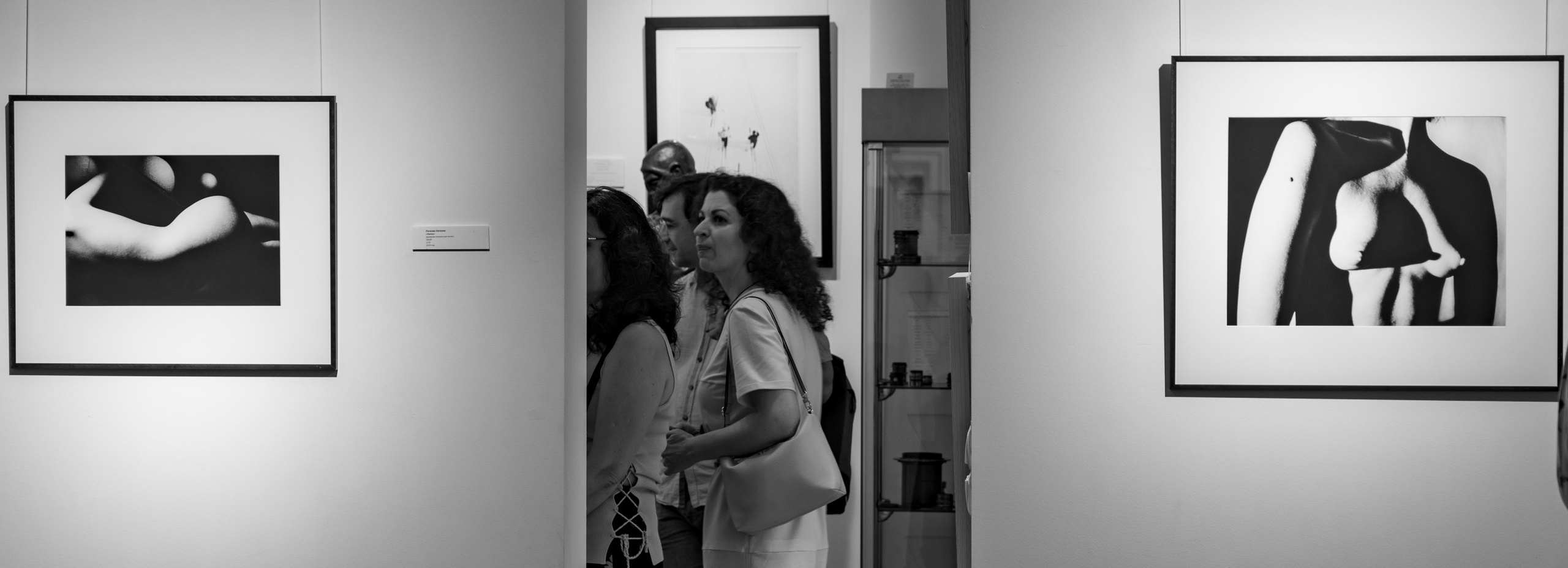 Художественная выставка. Фотограф Михаил Стенин