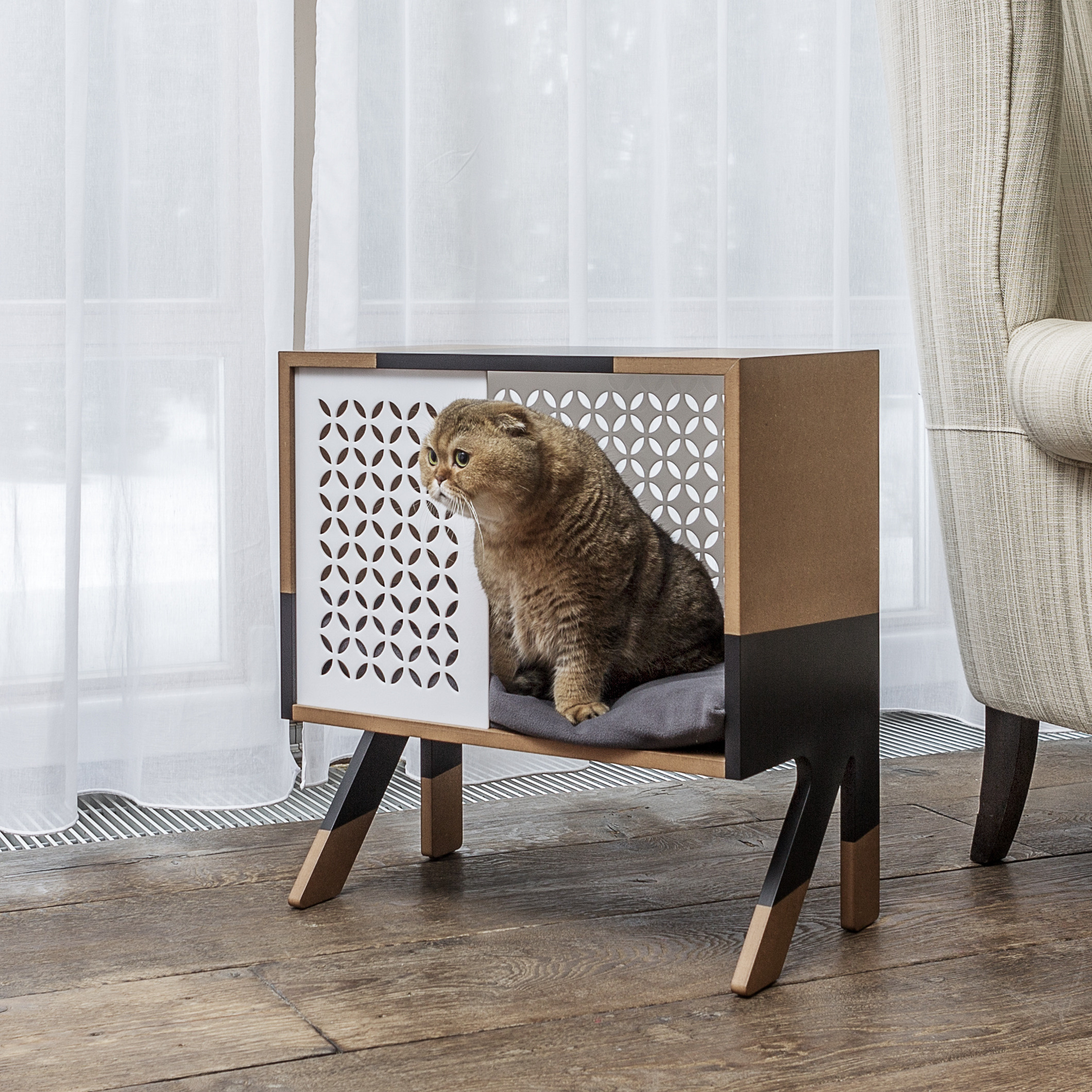 Рекламная фотография для PET индустрии