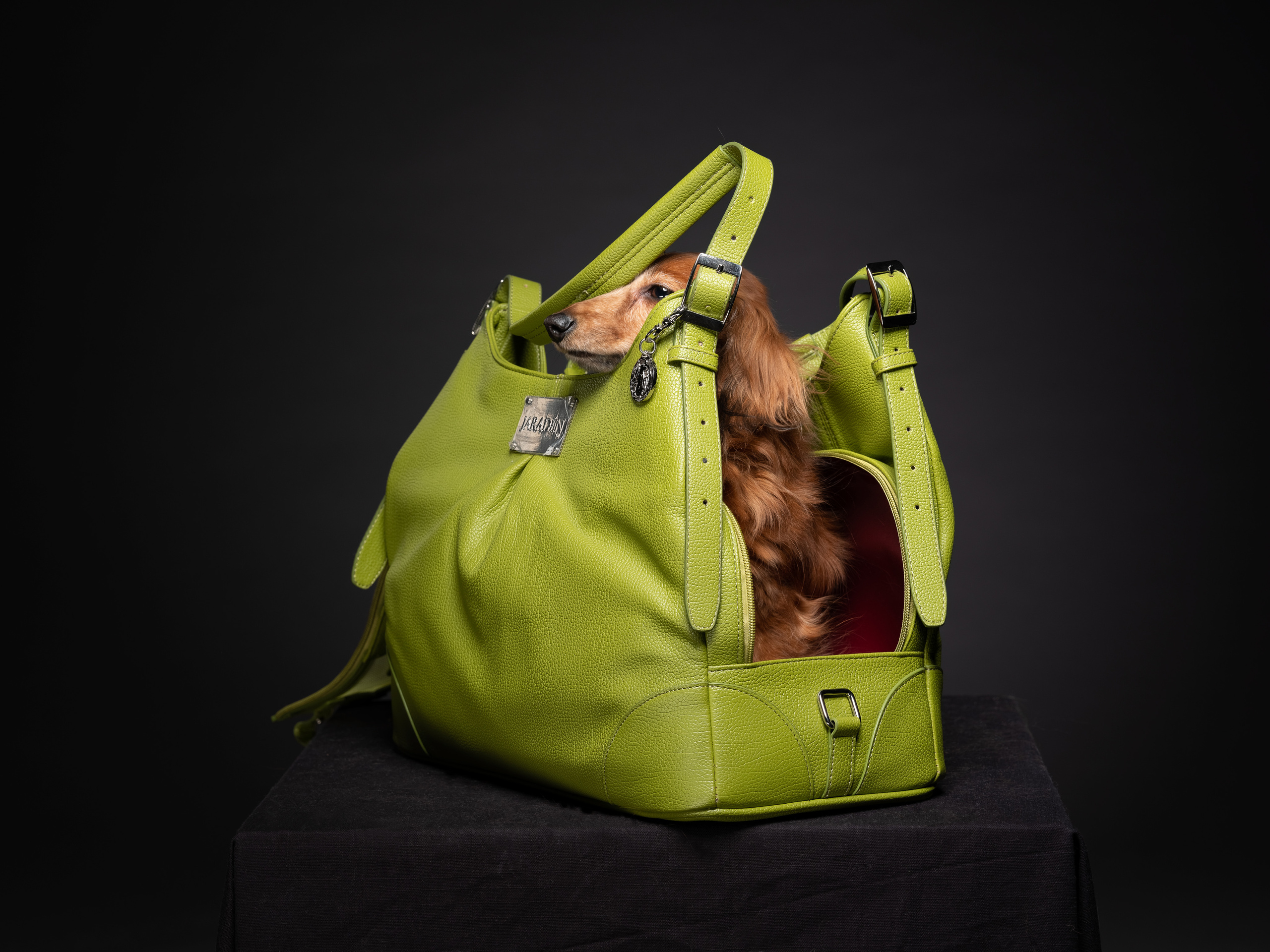 Рекламная фотография для PET индустрии