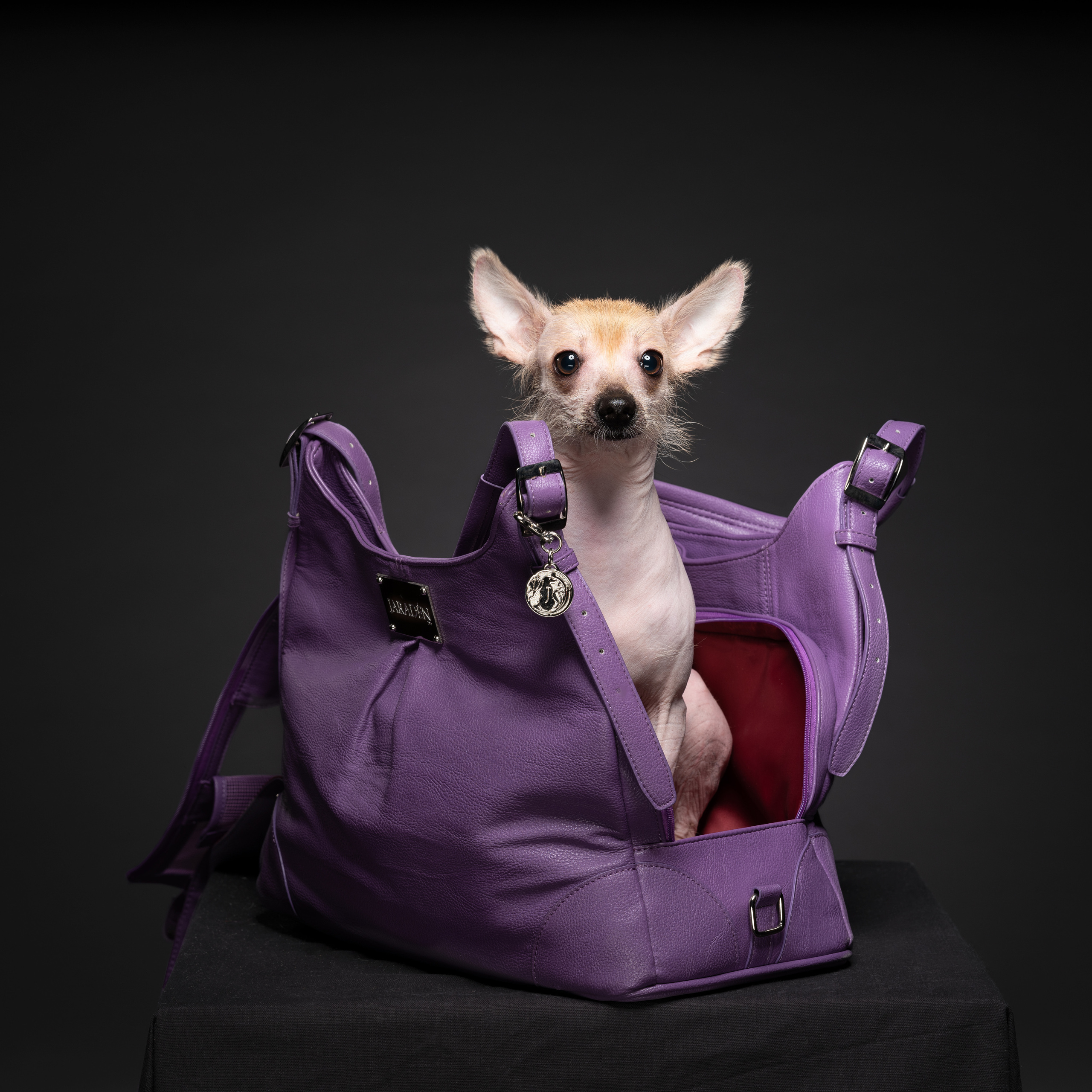 Рекламная фотография для PET индустрии