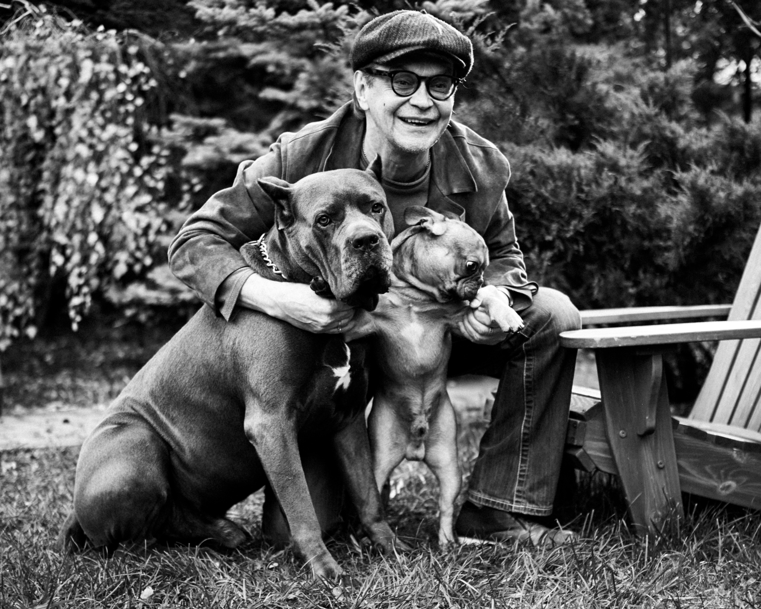 Михаил Стенин, У Любви четыре лапы