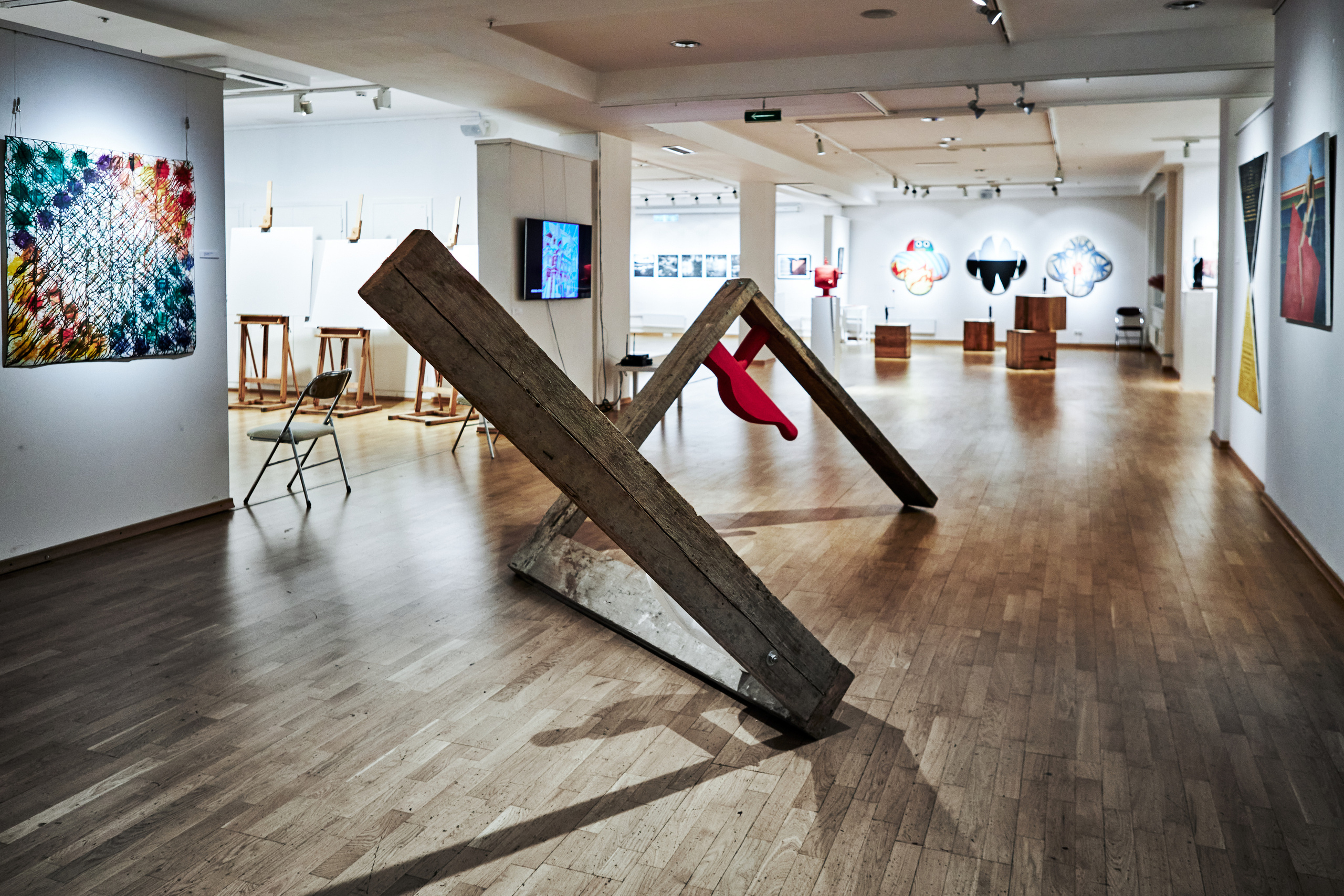 Художественная выставка. Фотограф Михаил Стенин