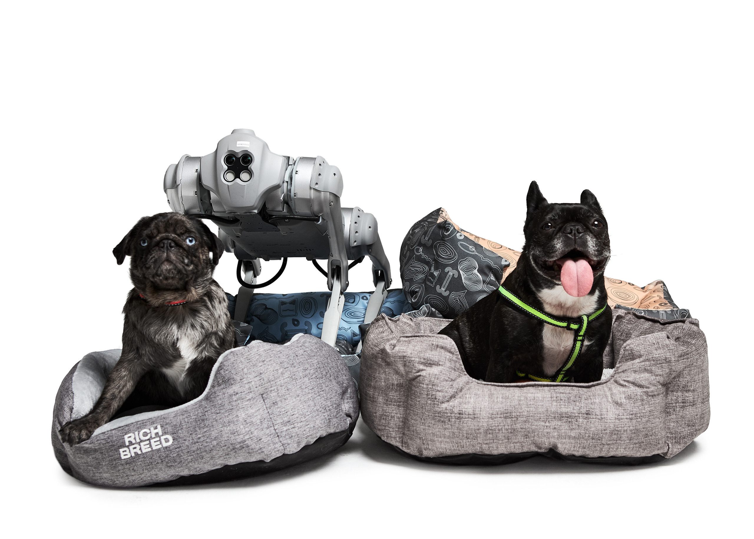 Рекламная фотография для PET индустрии