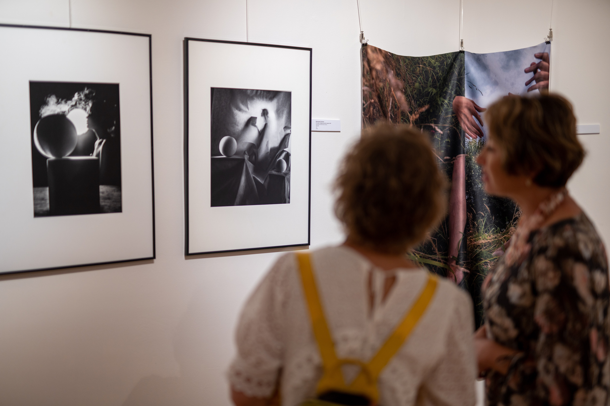 Художественная выставка. Фотограф Михаил Стенин