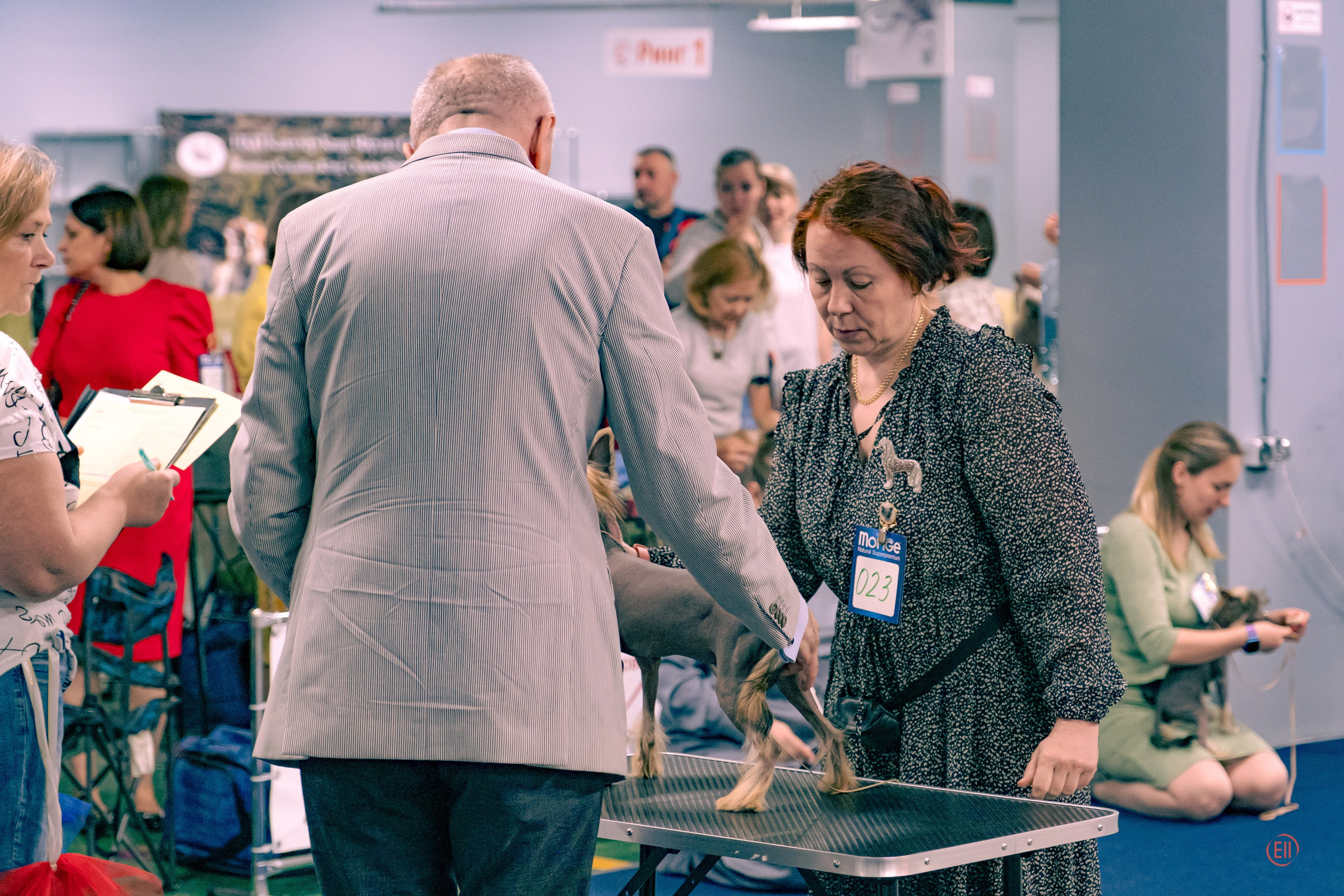 Ashantal Emmanuel Poale Ell. Chinese Crested Dog Kennel Poale Ell