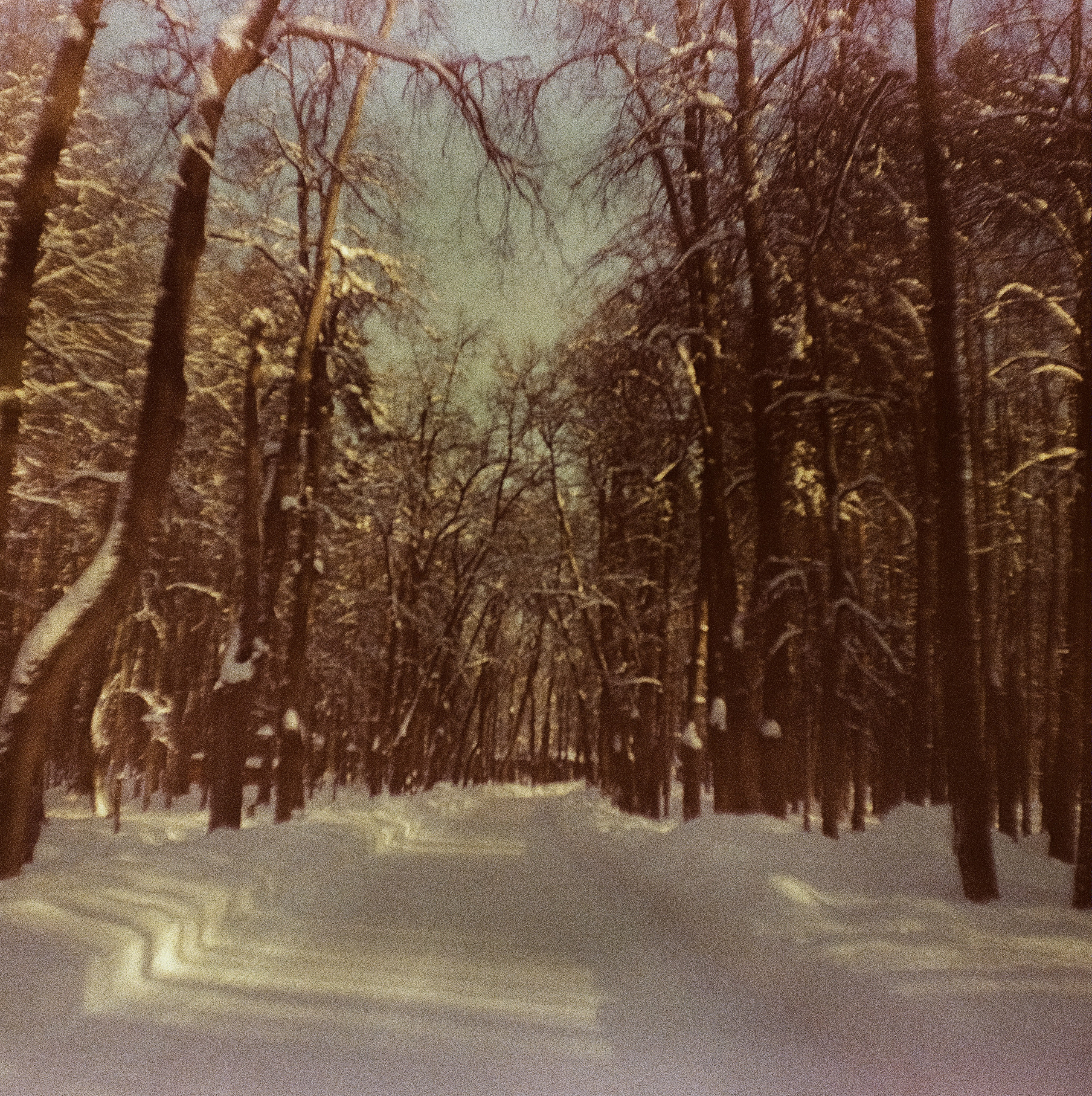 Kodak Ektachrome 64T / Franka Solida III / Архангельское, Лукино