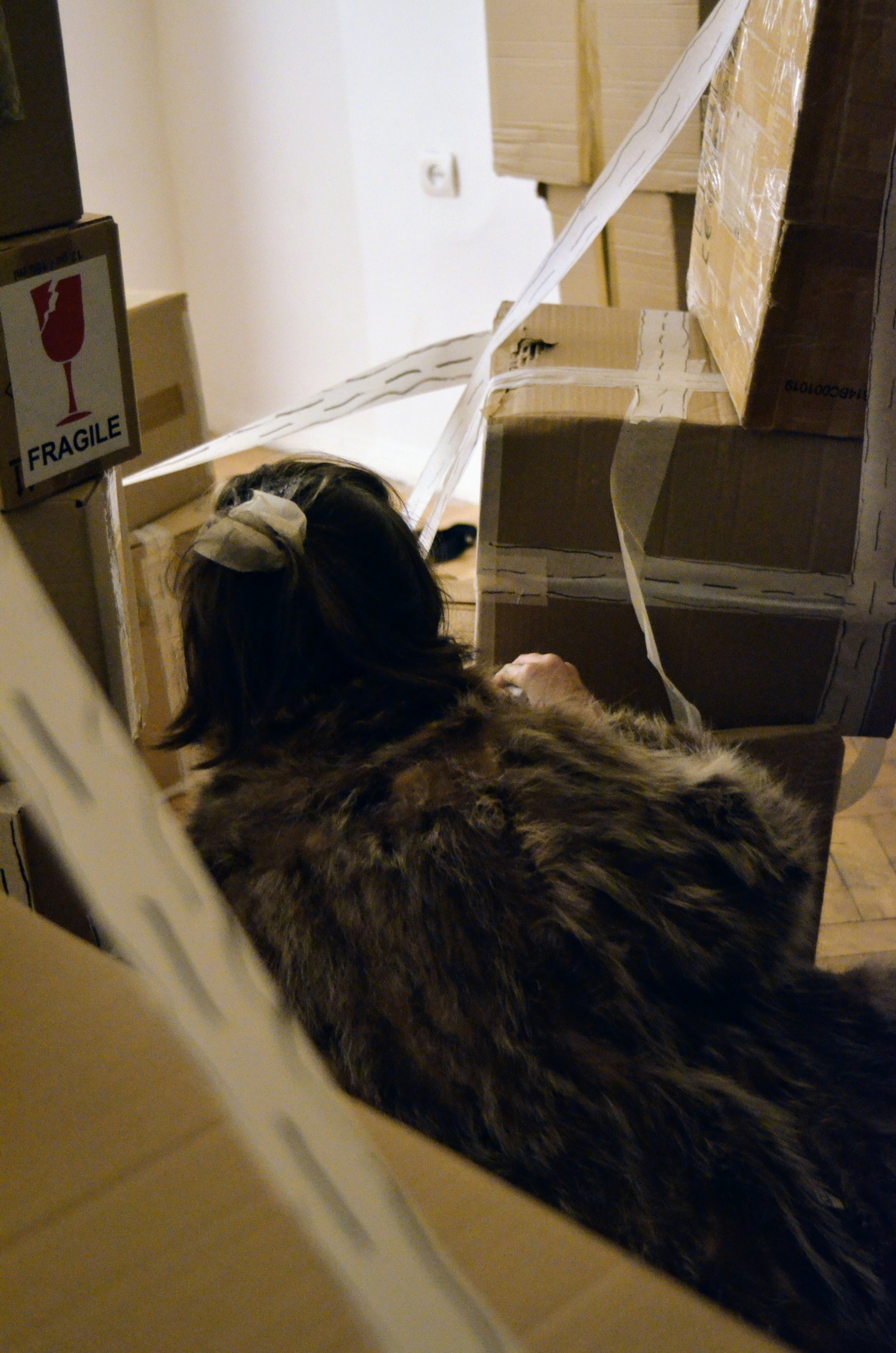 2024 performans “boxes”. Home