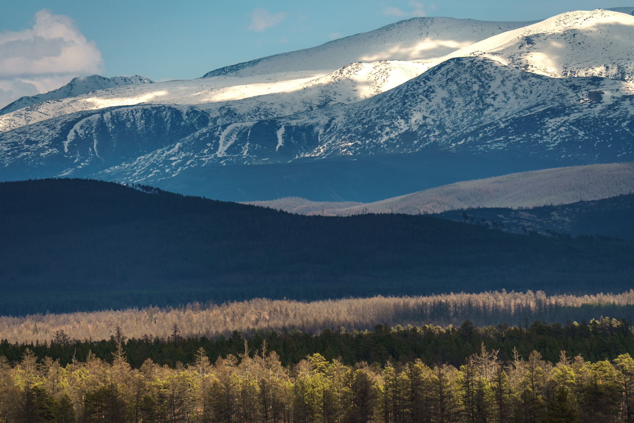 Чарские пески и Кодар