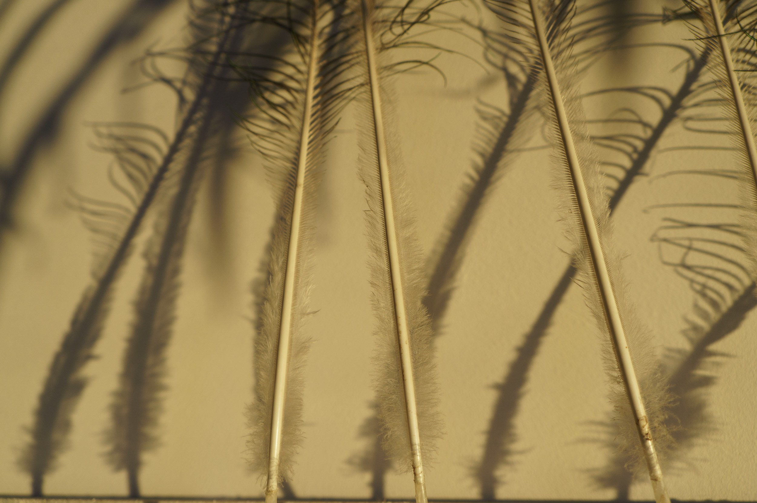 Визуальные заметки