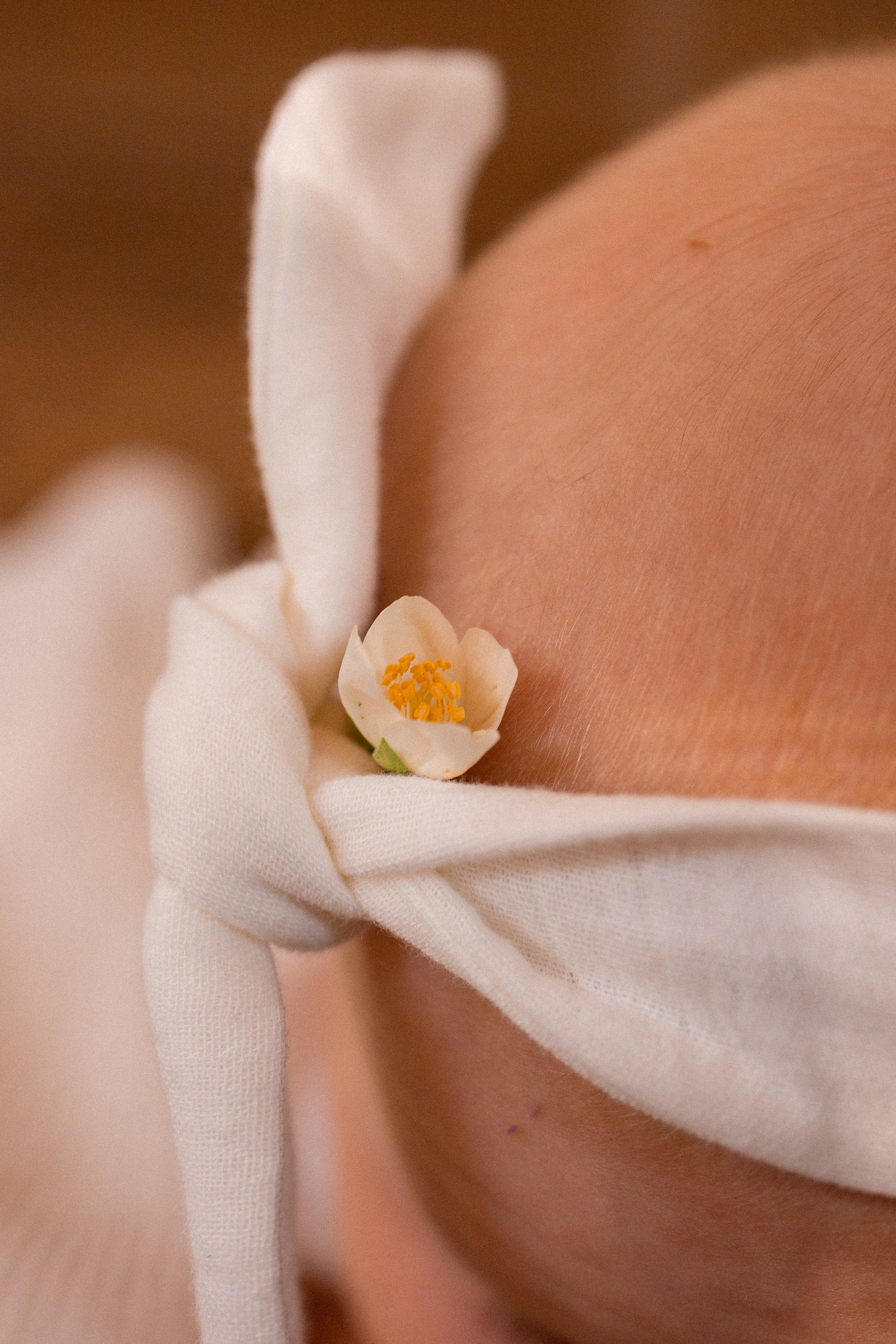 Семья Мазаевых. Портретный фотограф в Москве Кислая Елизавета