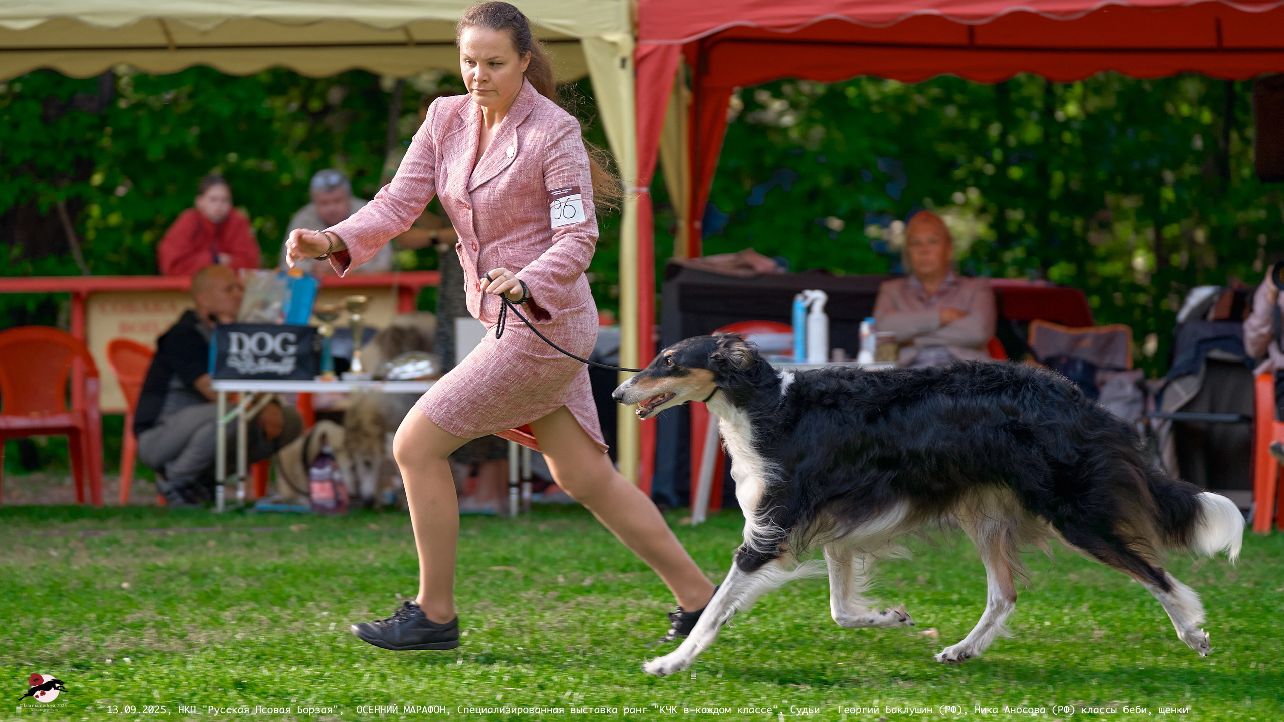 ОСЕННИЙ МАРАФОН | Специализированная выставка породы Русская Псовая Борзая ранг "КЧК в каждом классе"