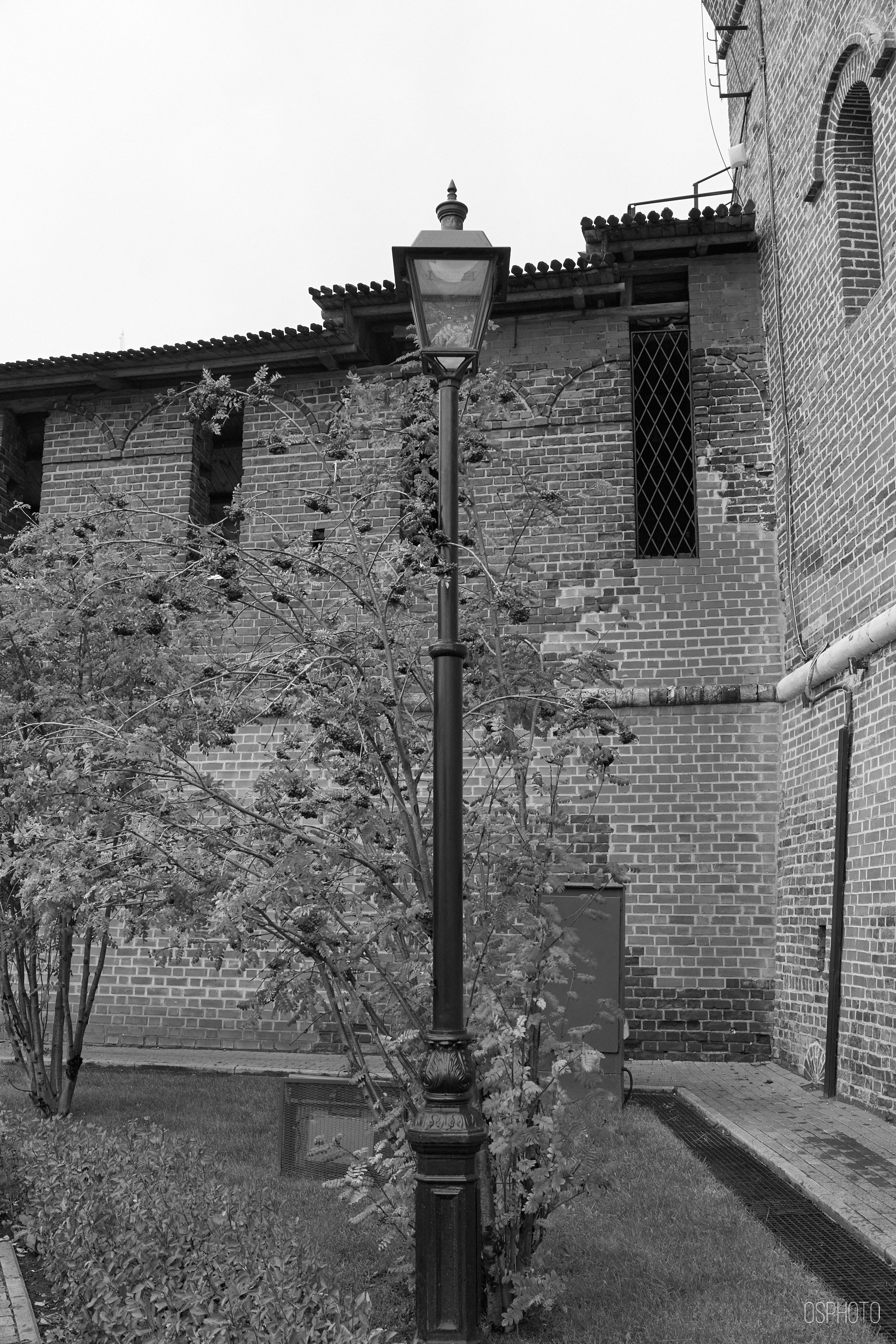 Нижний Новгород. Фотографъ Сергѣевъ. Поймать мгновеніе