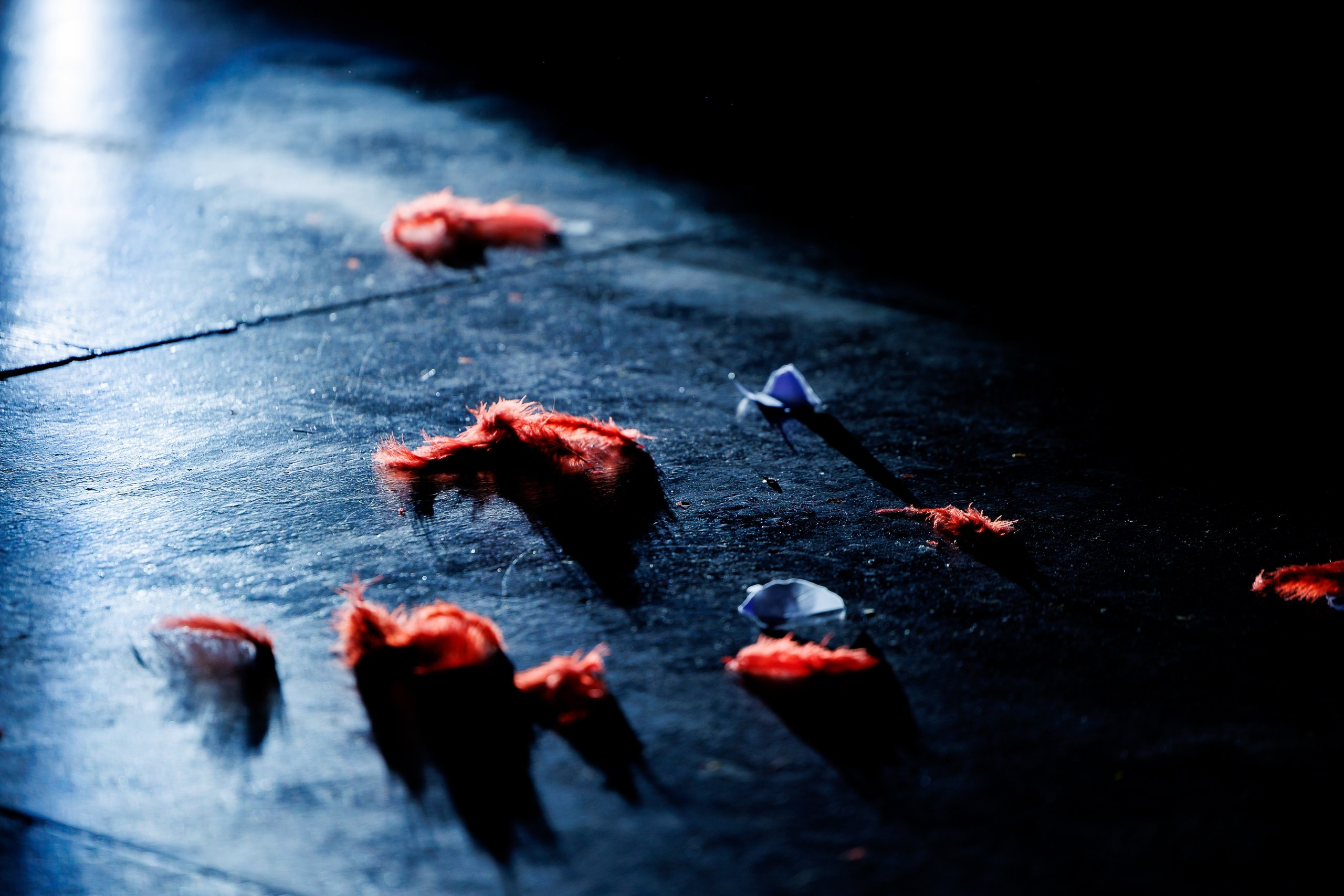 Спектакль «В открытом море» от театра Д. Лица. Фотограф в Санкт-Петербурге — Сергей Петров