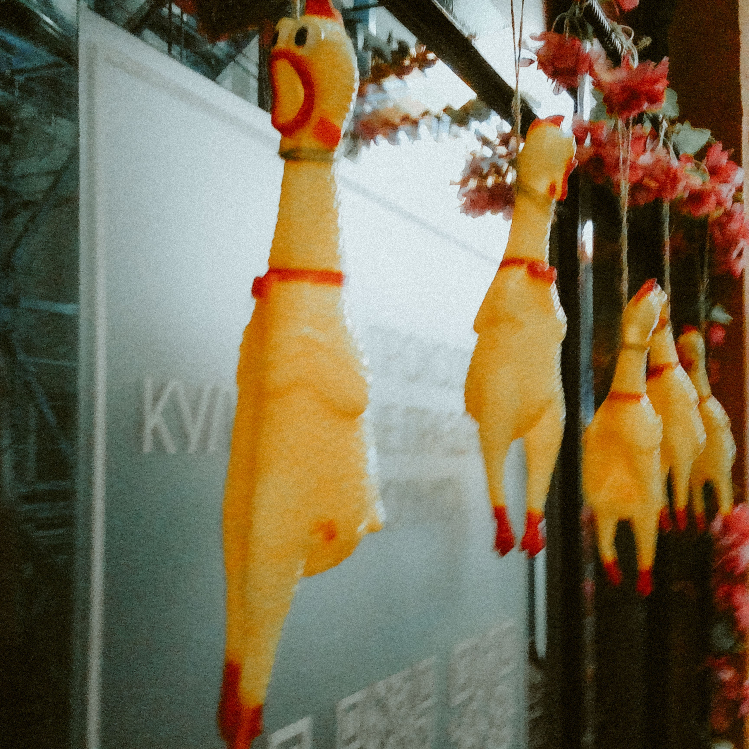 SECTA RAVE. DENISOV ART (фото, видео, дизайн) САМАРА