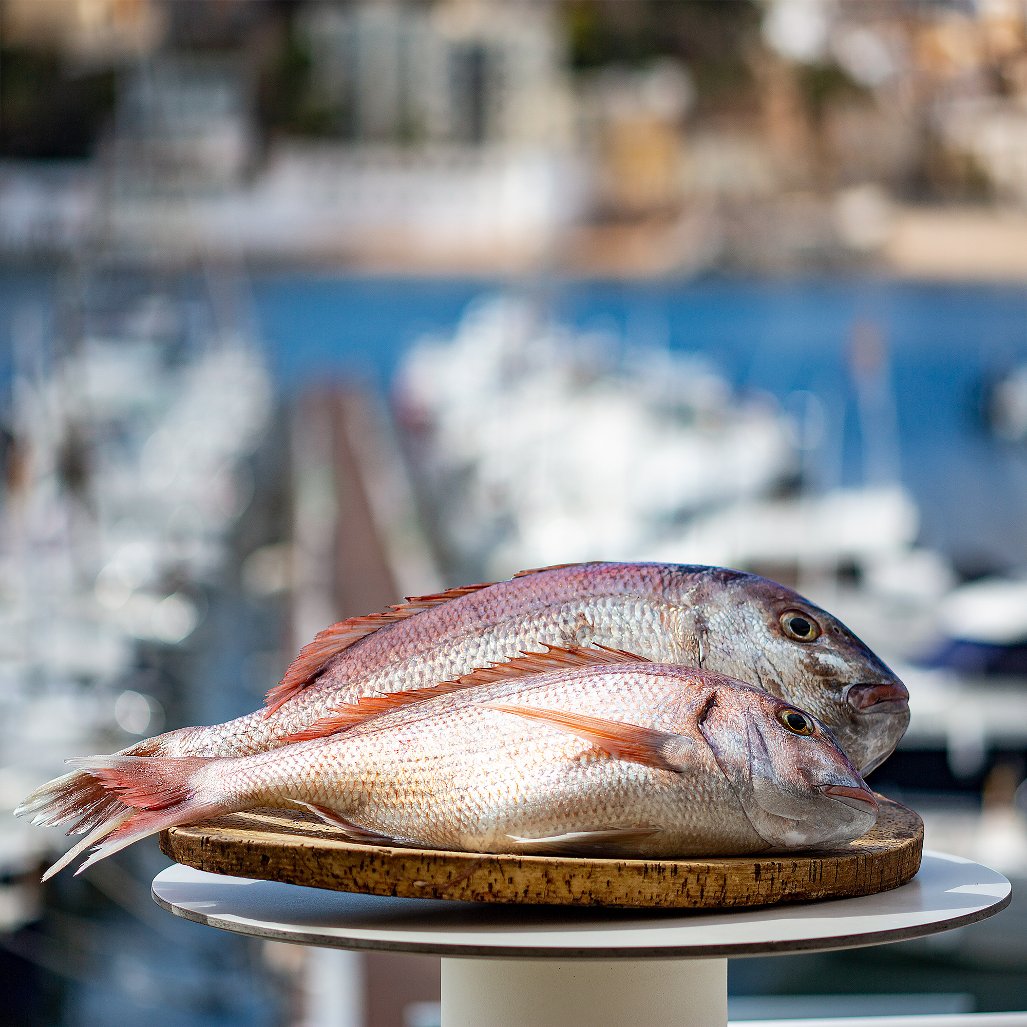 Food fotógrafo y videógrafo Rost Kutuzov