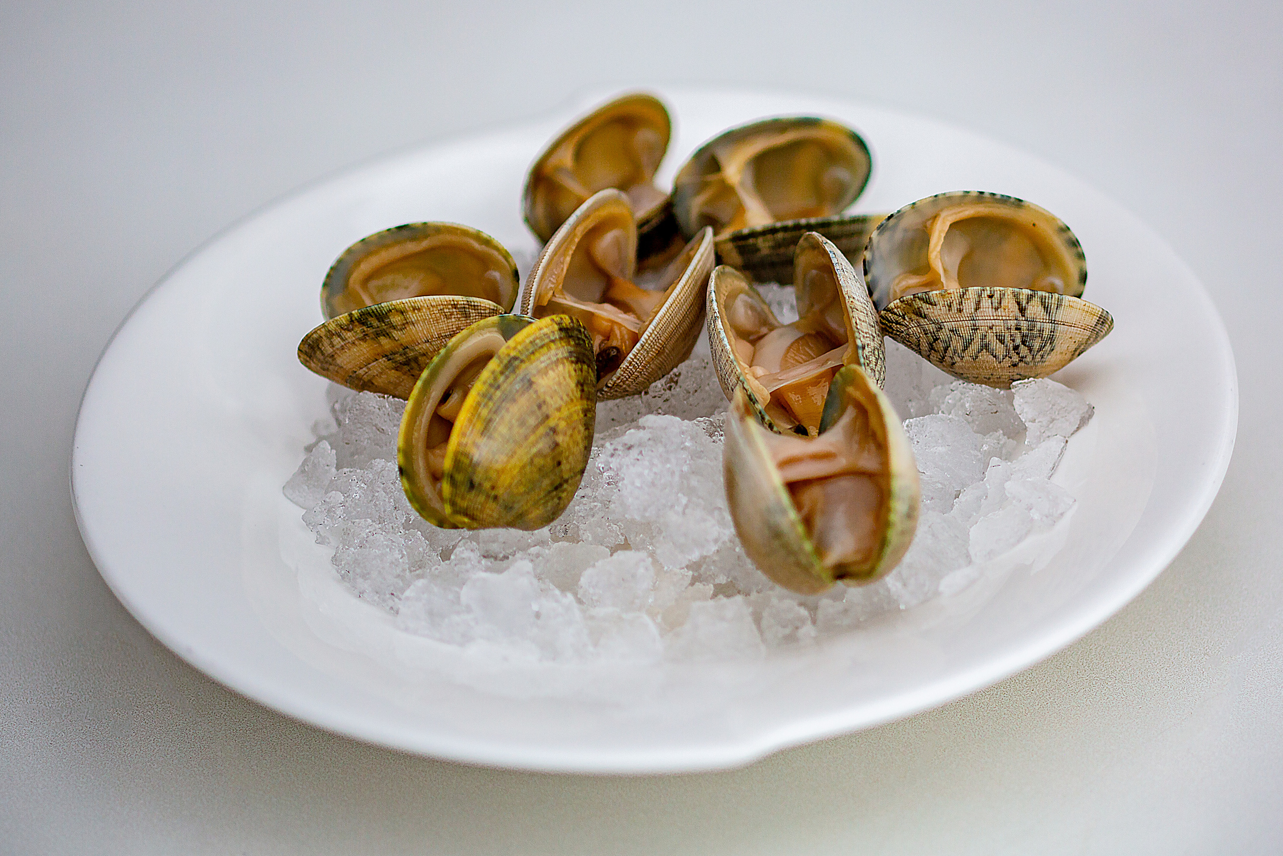 Platos y Creación Culinaria. Food fotógrafo y videógrafo Rost Kutuzov