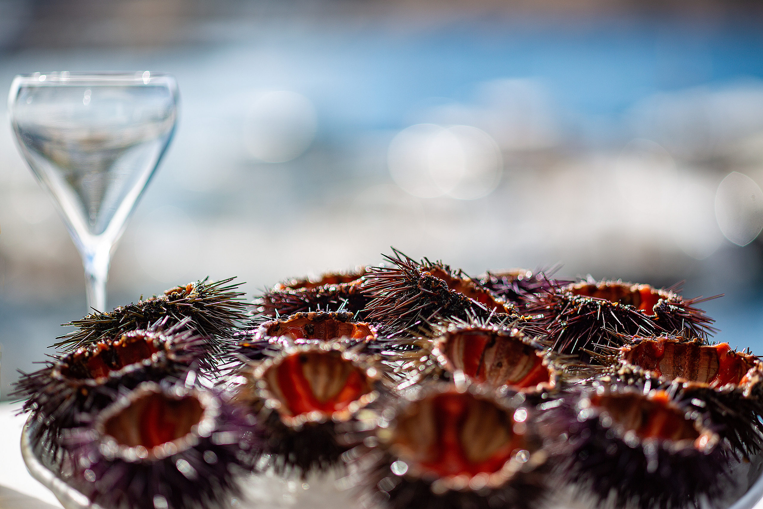 Food fotógrafo y videógrafo Rost Kutuzov