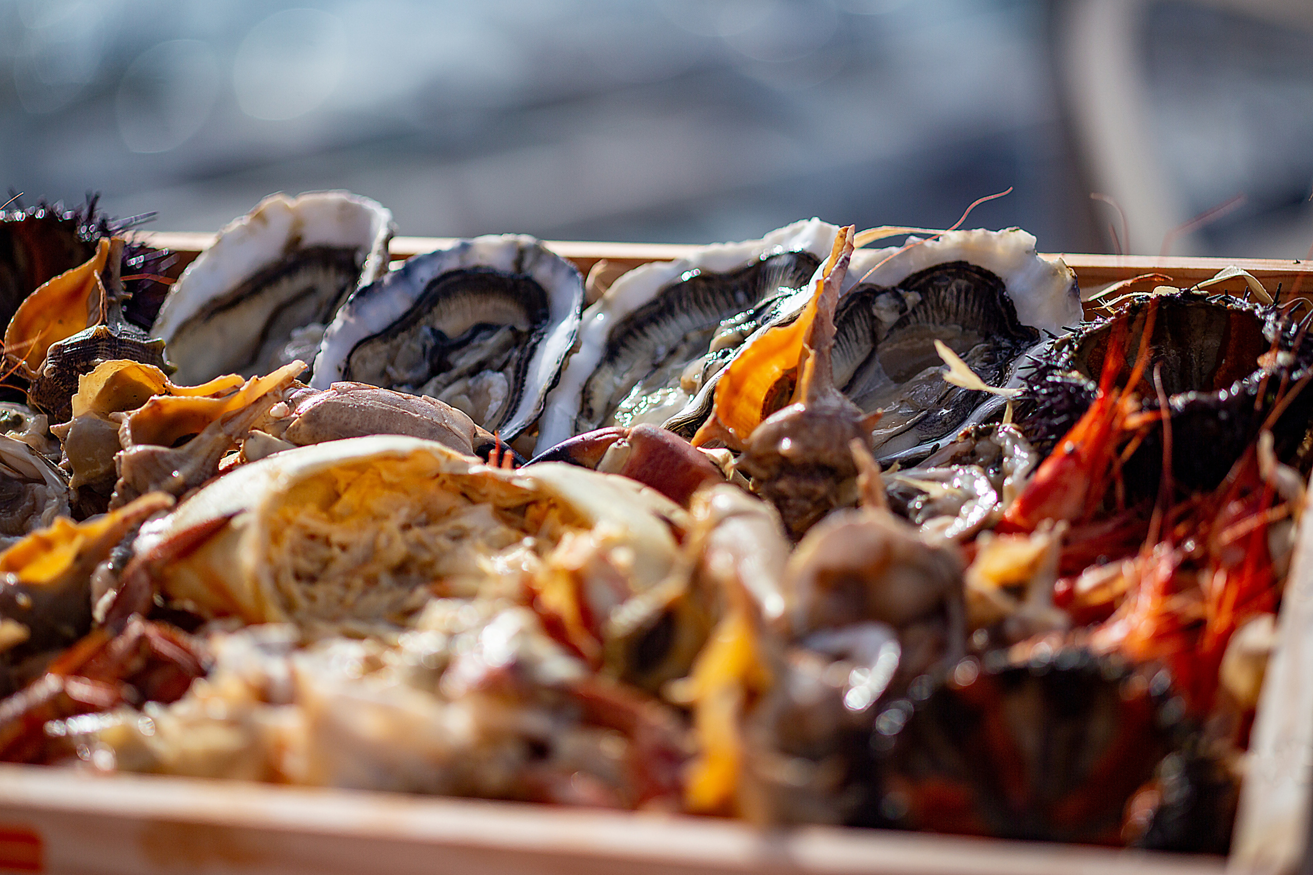 Platos y Creación Culinaria. Food fotógrafo y videógrafo Rost Kutuzov