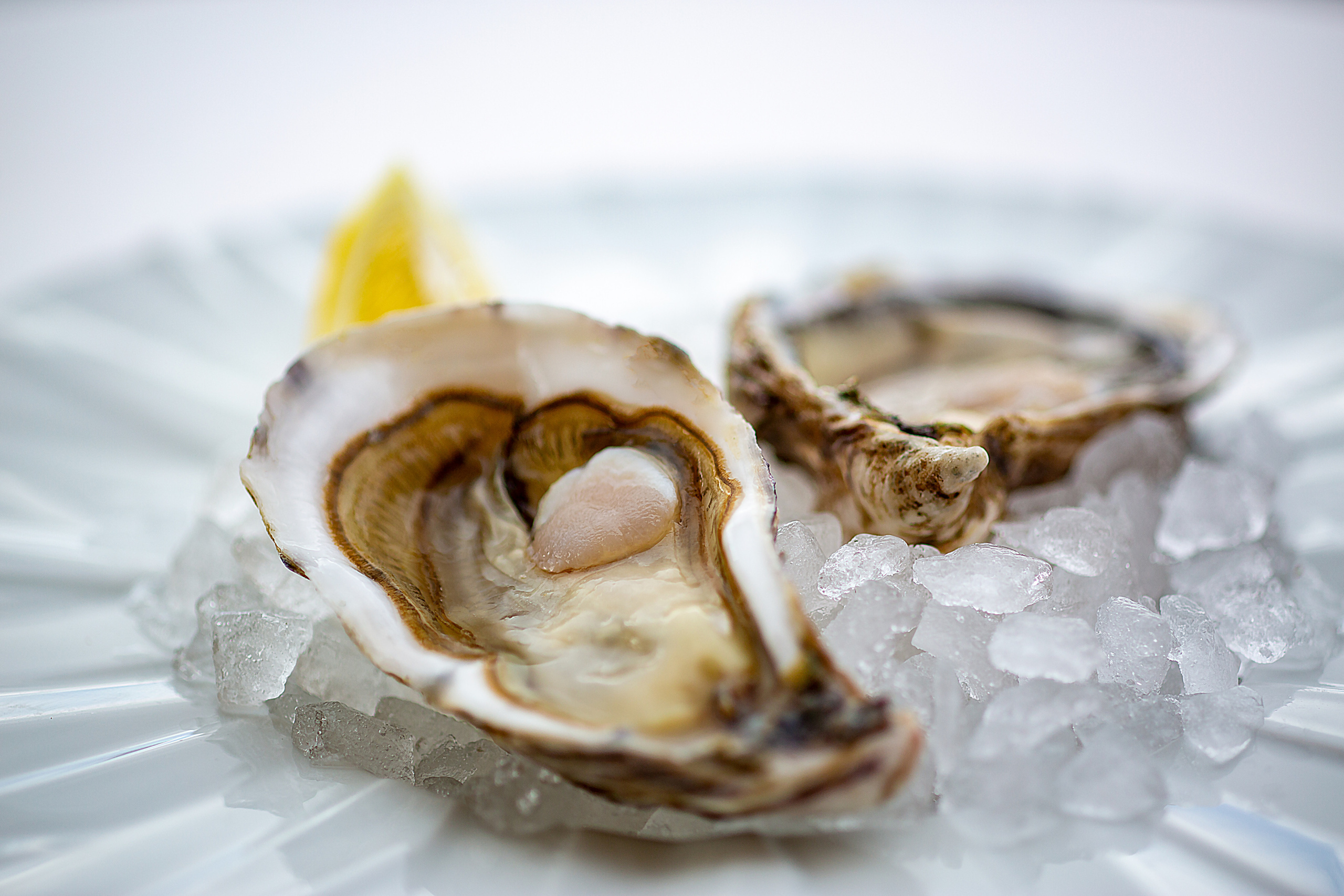 Food fotógrafo y videógrafo Rost Kutuzov