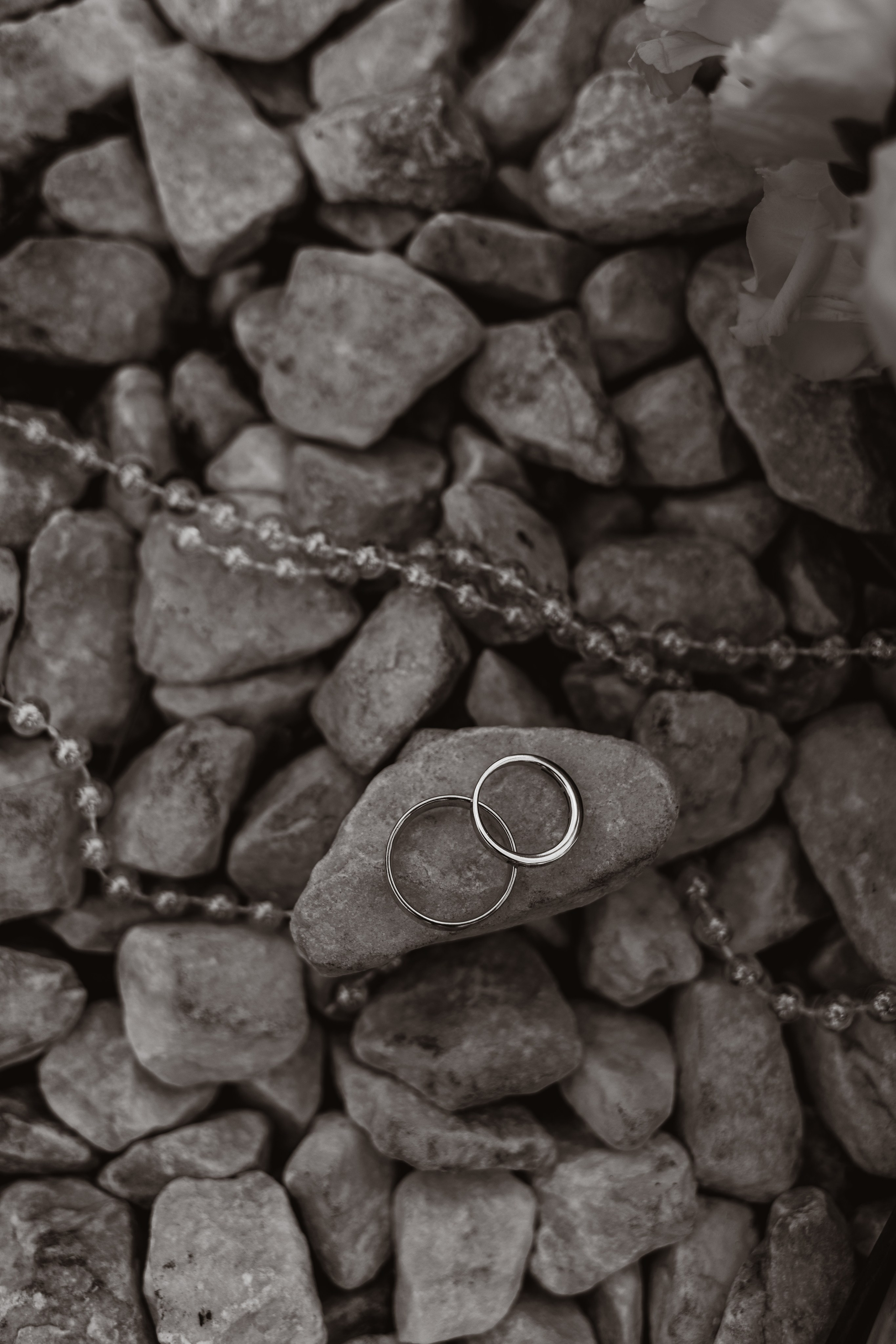 Свадебный и семейный Фотограф