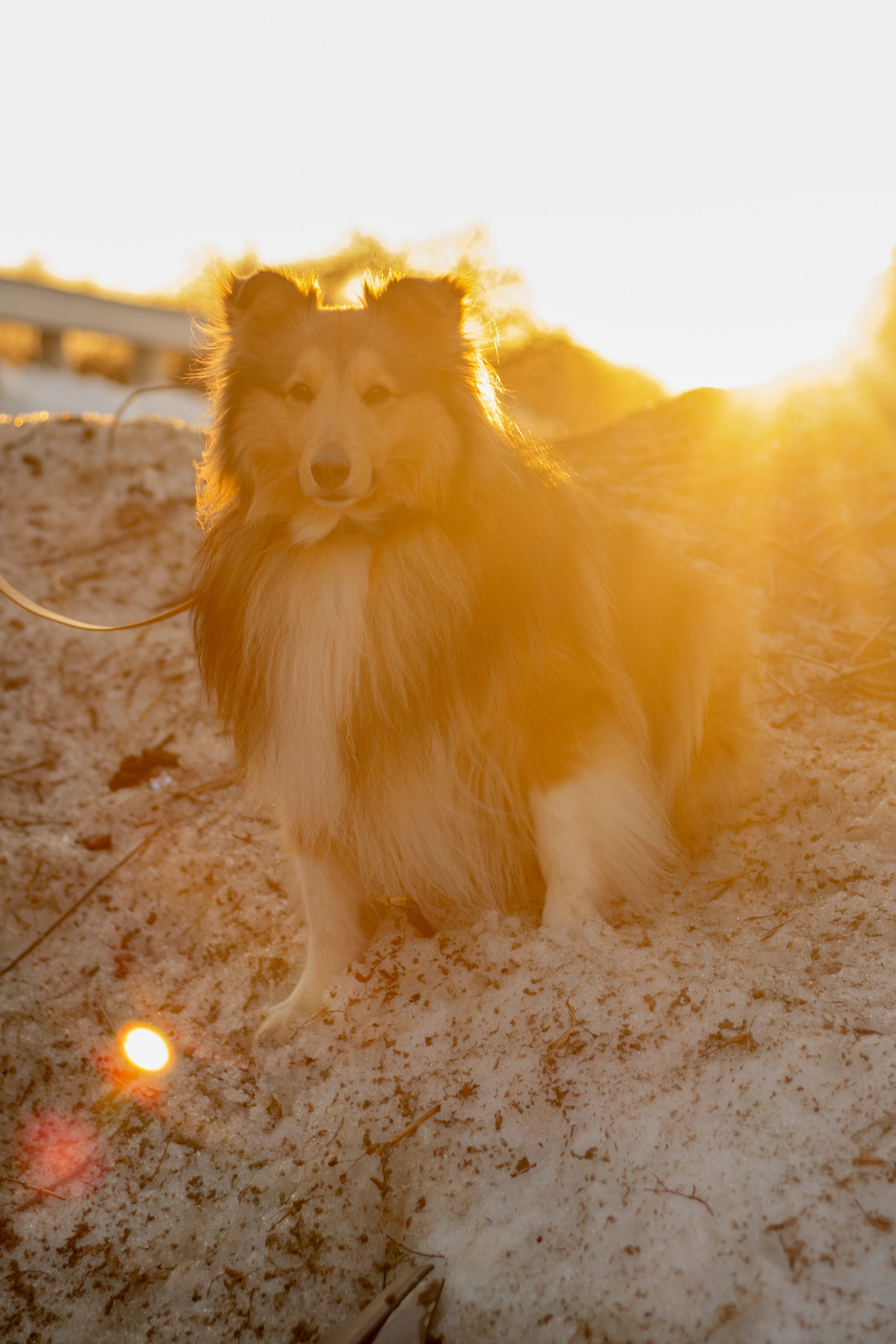 Катя Попова|ЛайфСтайл фотограф