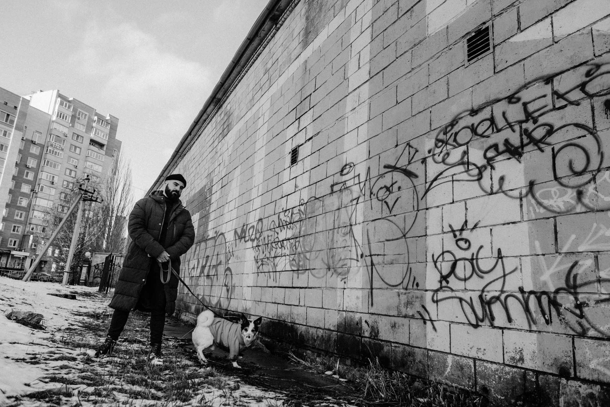 Мужская фотосессия с собакой в Тюмени — Саша и Тони. Фотограф Дарья Мустафина, Тюмень