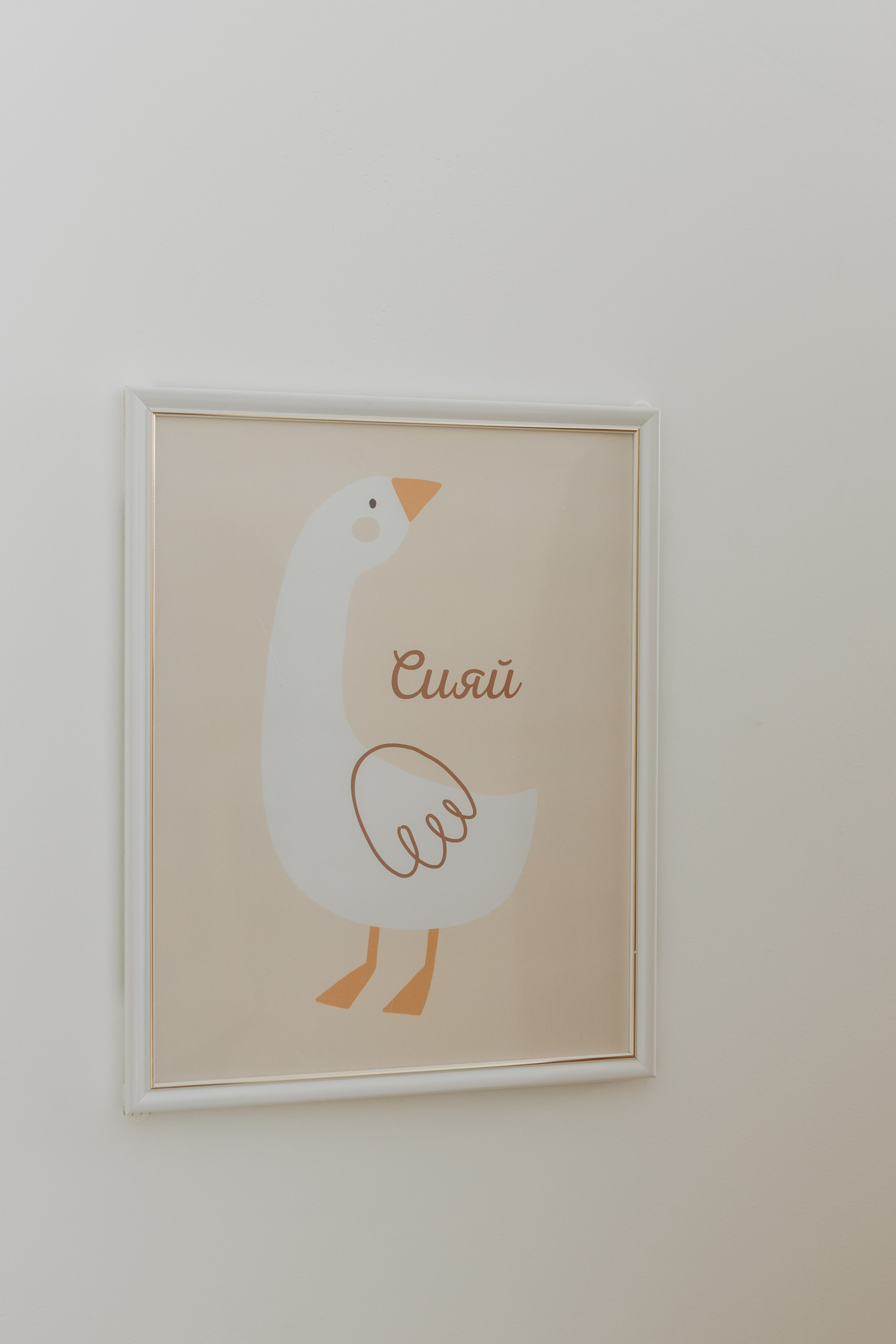 Фотостудия «Птичка» Мытищи,