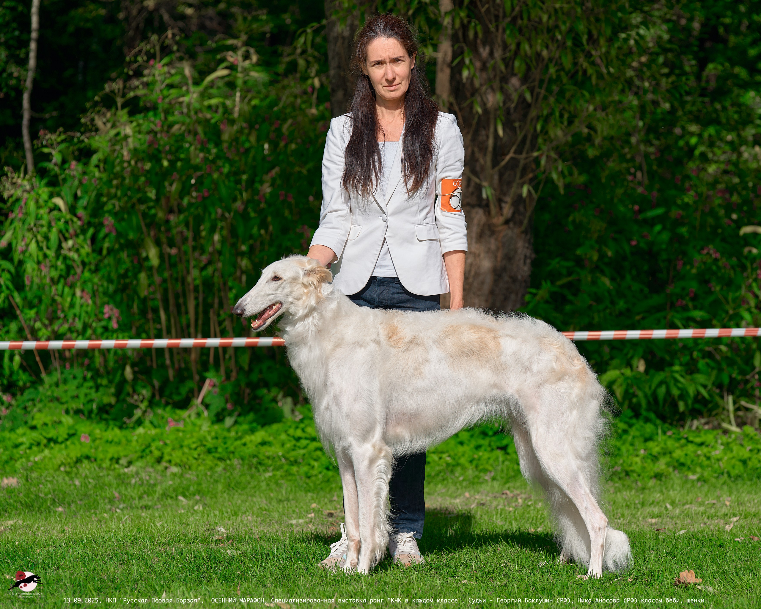 ОСЕННИЙ МАРАФОН | Специализированная выставка породы Русская Псовая Борзая ранг "КЧК в каждом классе"